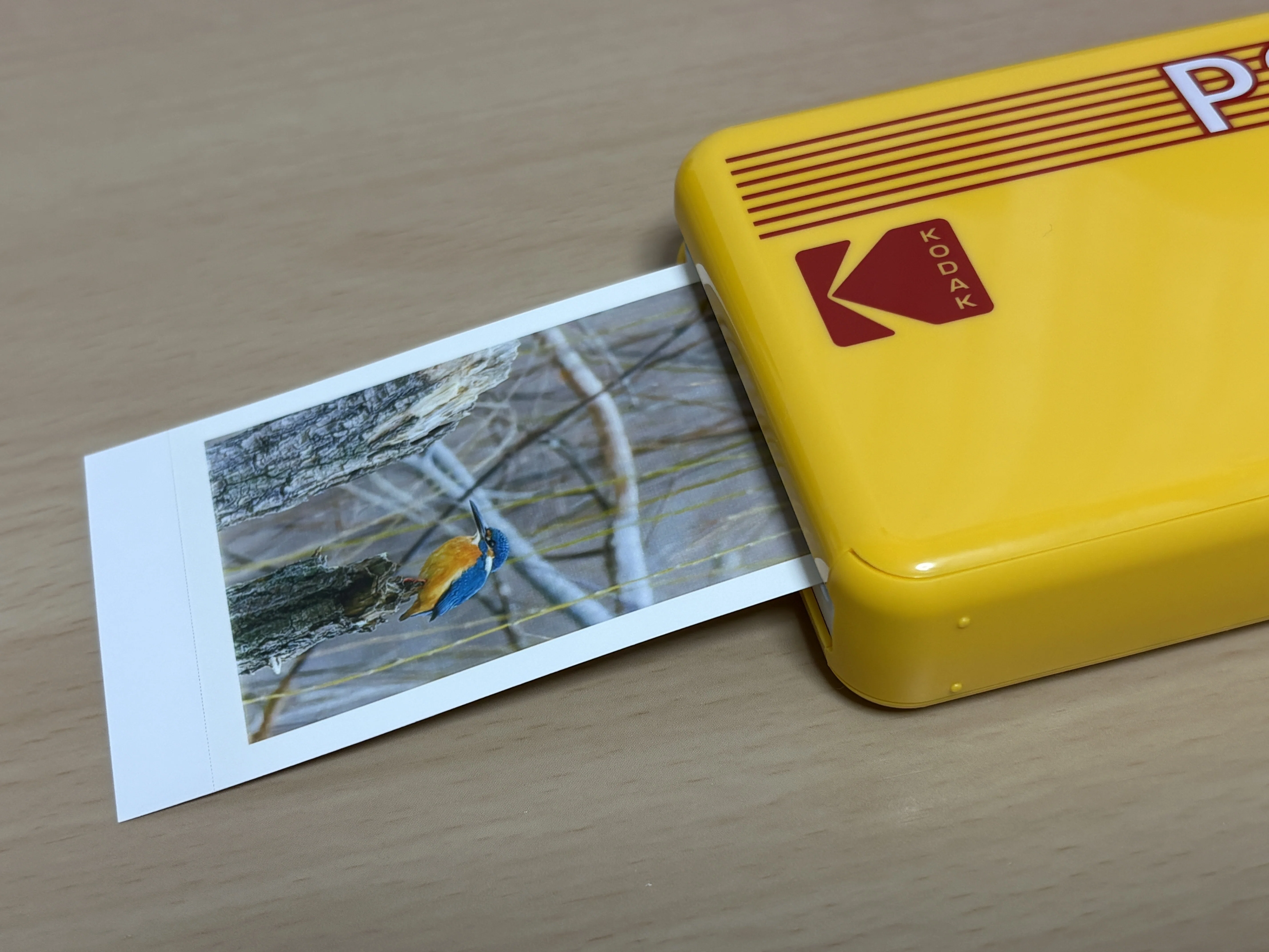 撮影した写真を形に残す楽しみ：KODAK Mini 2 レトロ レビュー | 写真