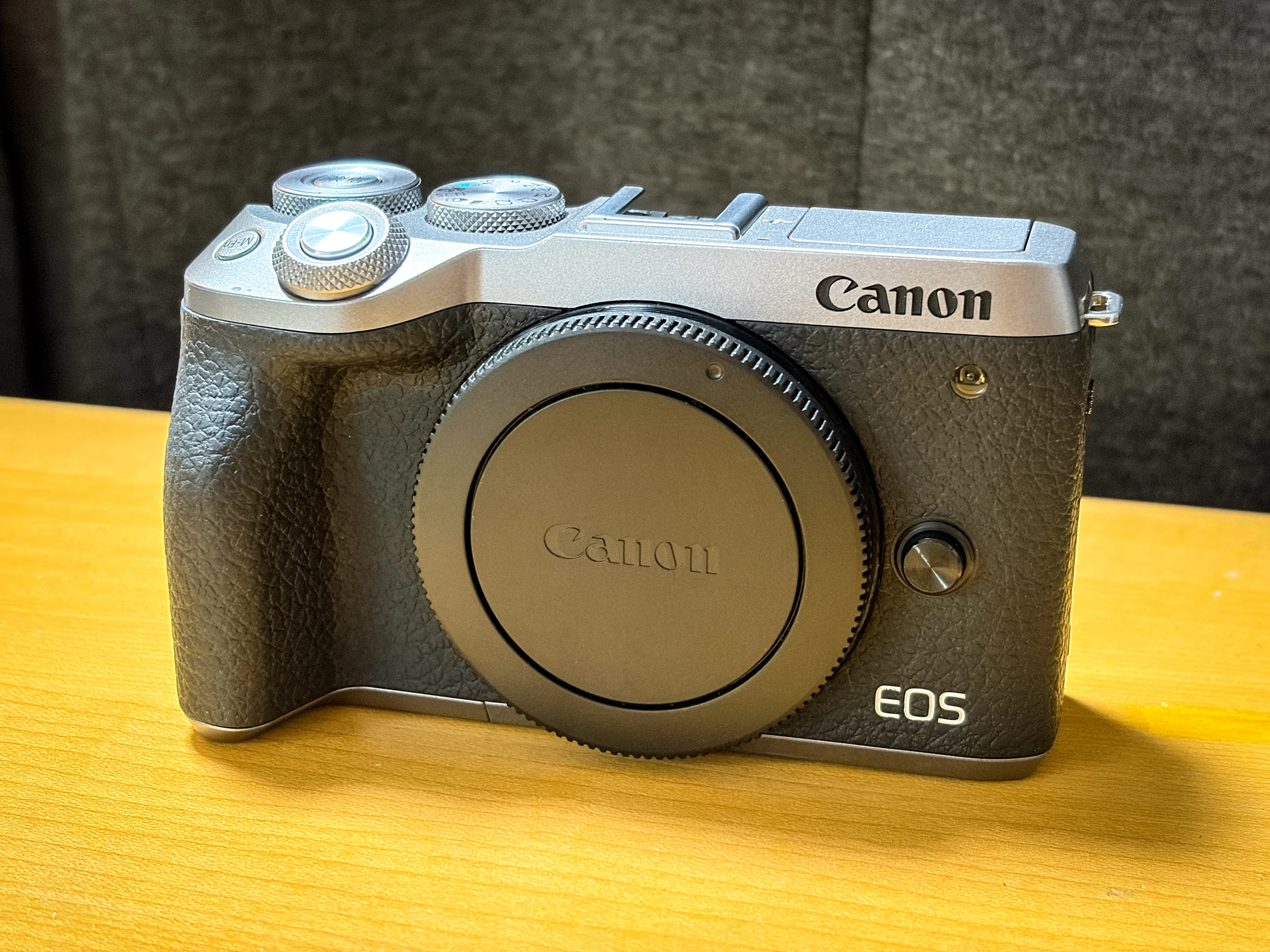 EOS M6→EOS M6 MarkIIに買い替え｜赤乃