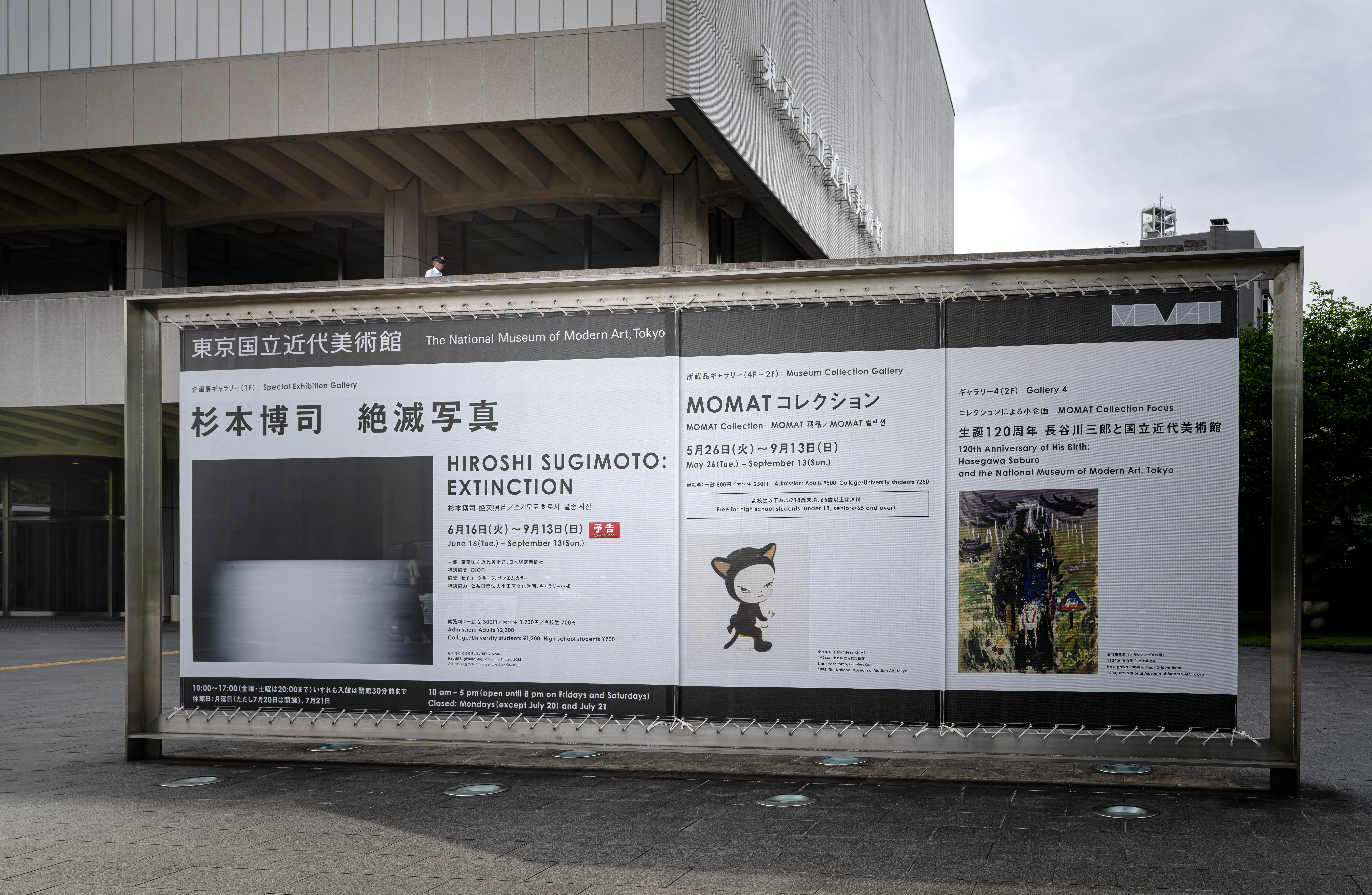 インタビュー：東京国立近代美術館 研究員：横山由季子 「MOMAT