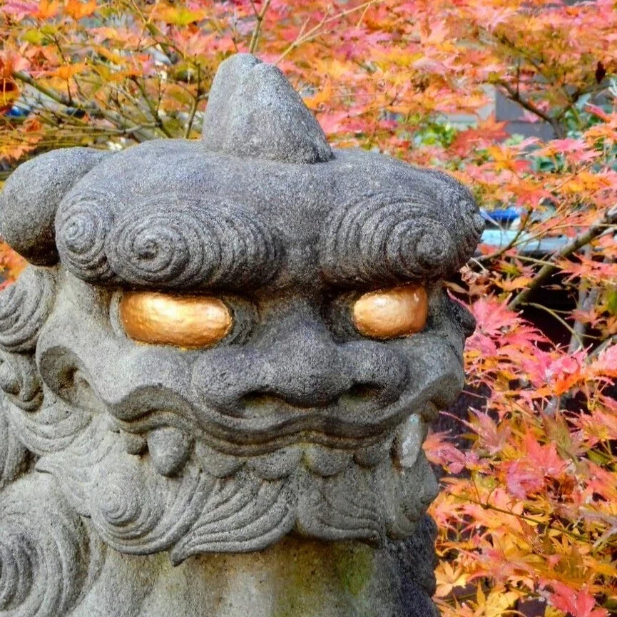 狛犬と獅子｜唐崎夜雨