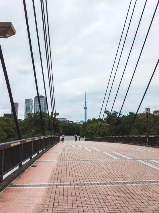 都内6公園】雨上がりの緑から、夕暮れの海へ。「公園カード」をめぐる