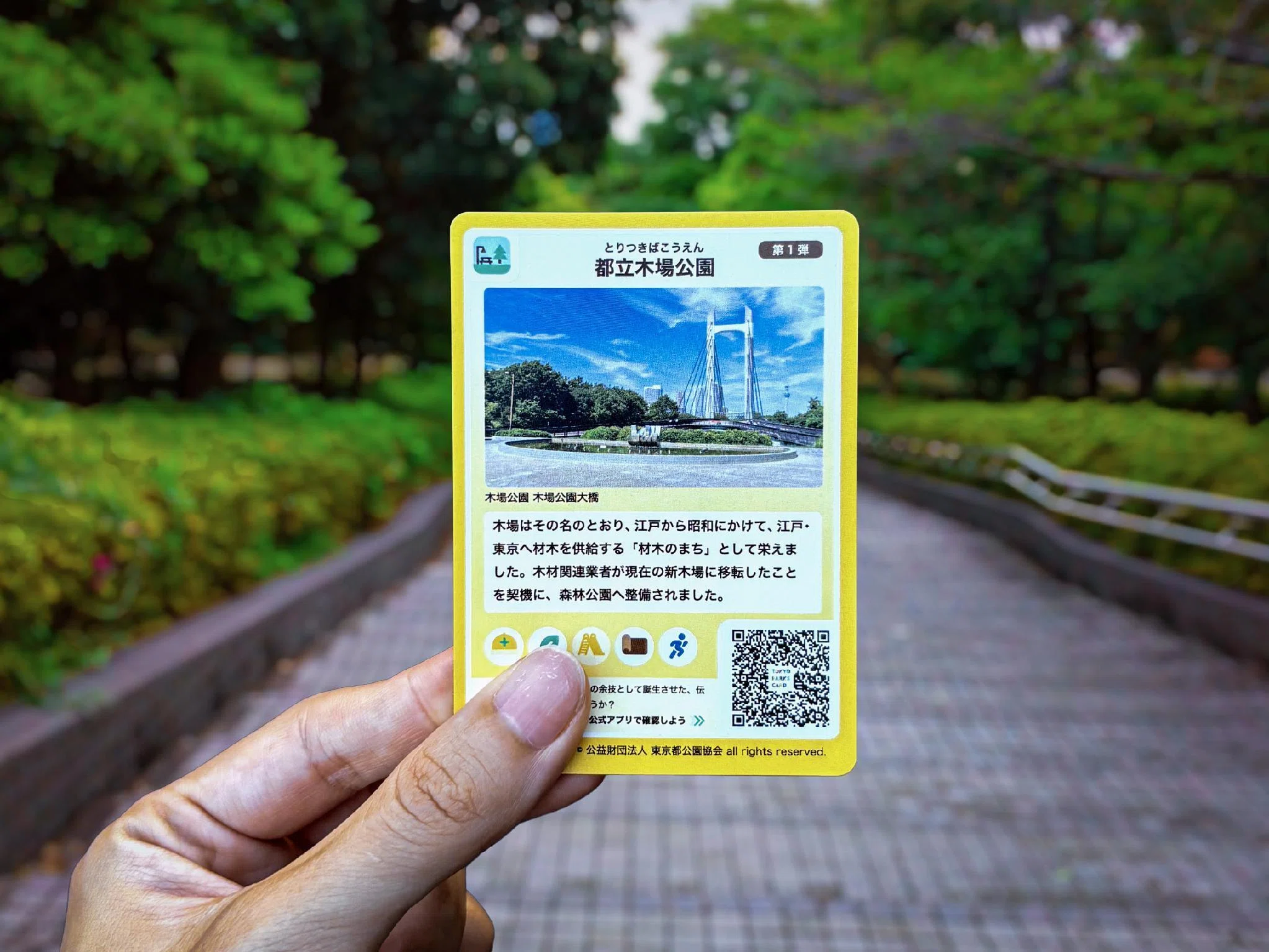 公園カード TOKYOPARKSCARD 日比谷公園木場公園小金井公園(東京都) 都内6公園】雨上がりの緑から、夕暮れの海へ。「公園カード」をめぐる