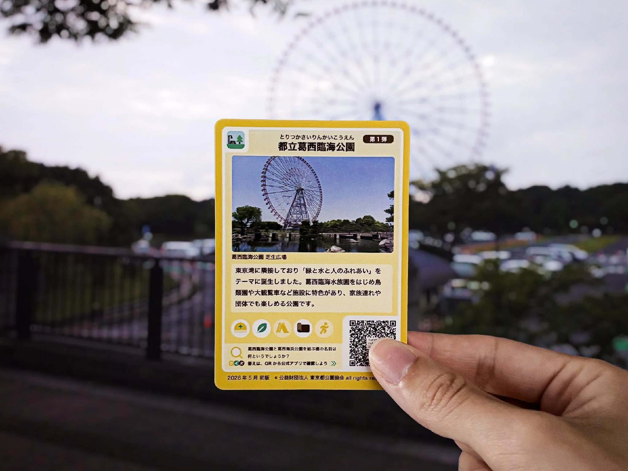 都内6公園】雨上がりの緑から、夕暮れの海へ。「公園カード」をめぐる