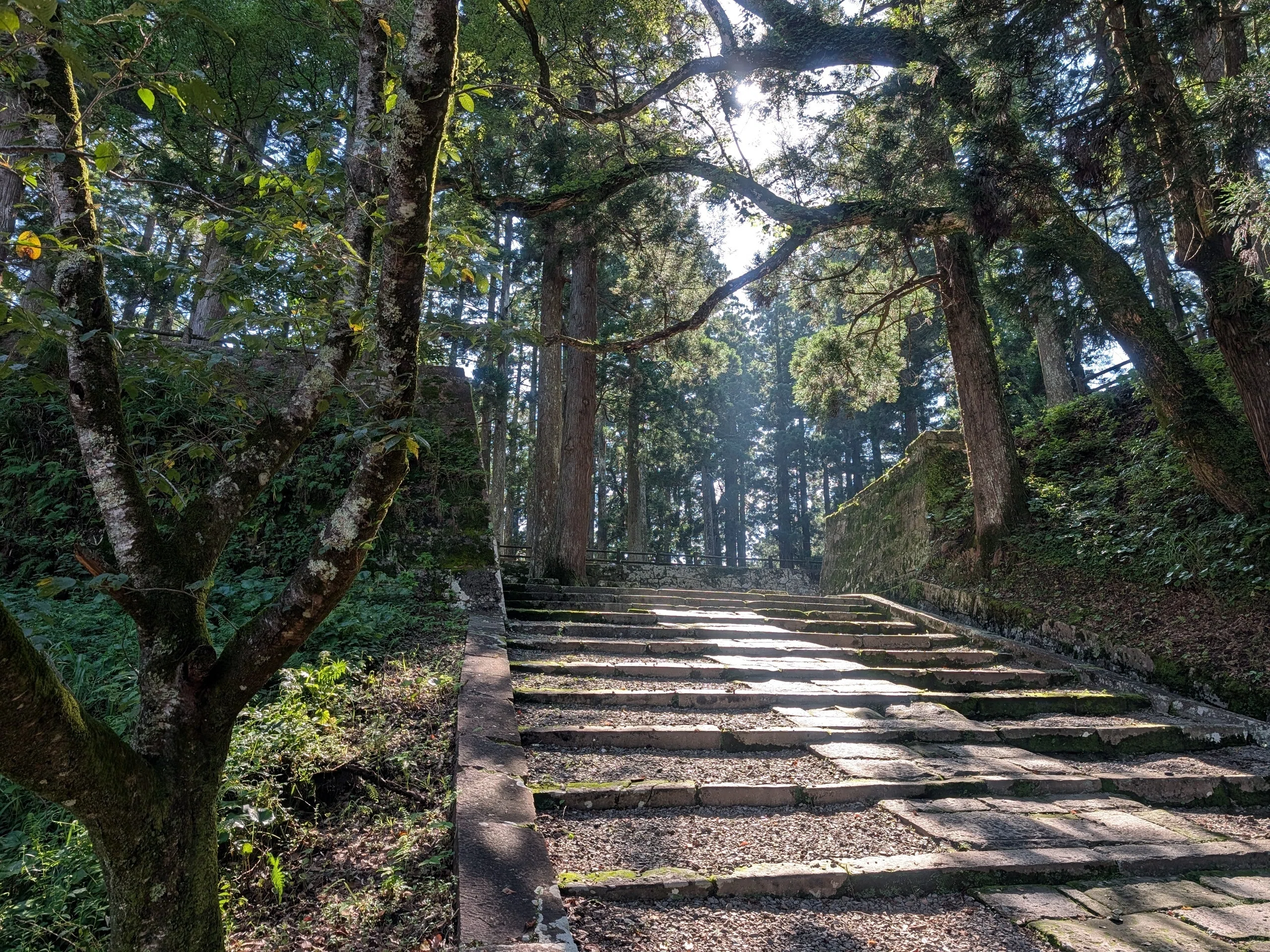 宮崎一人旅、サンメッセ日南と飫肥城 ｜いちご