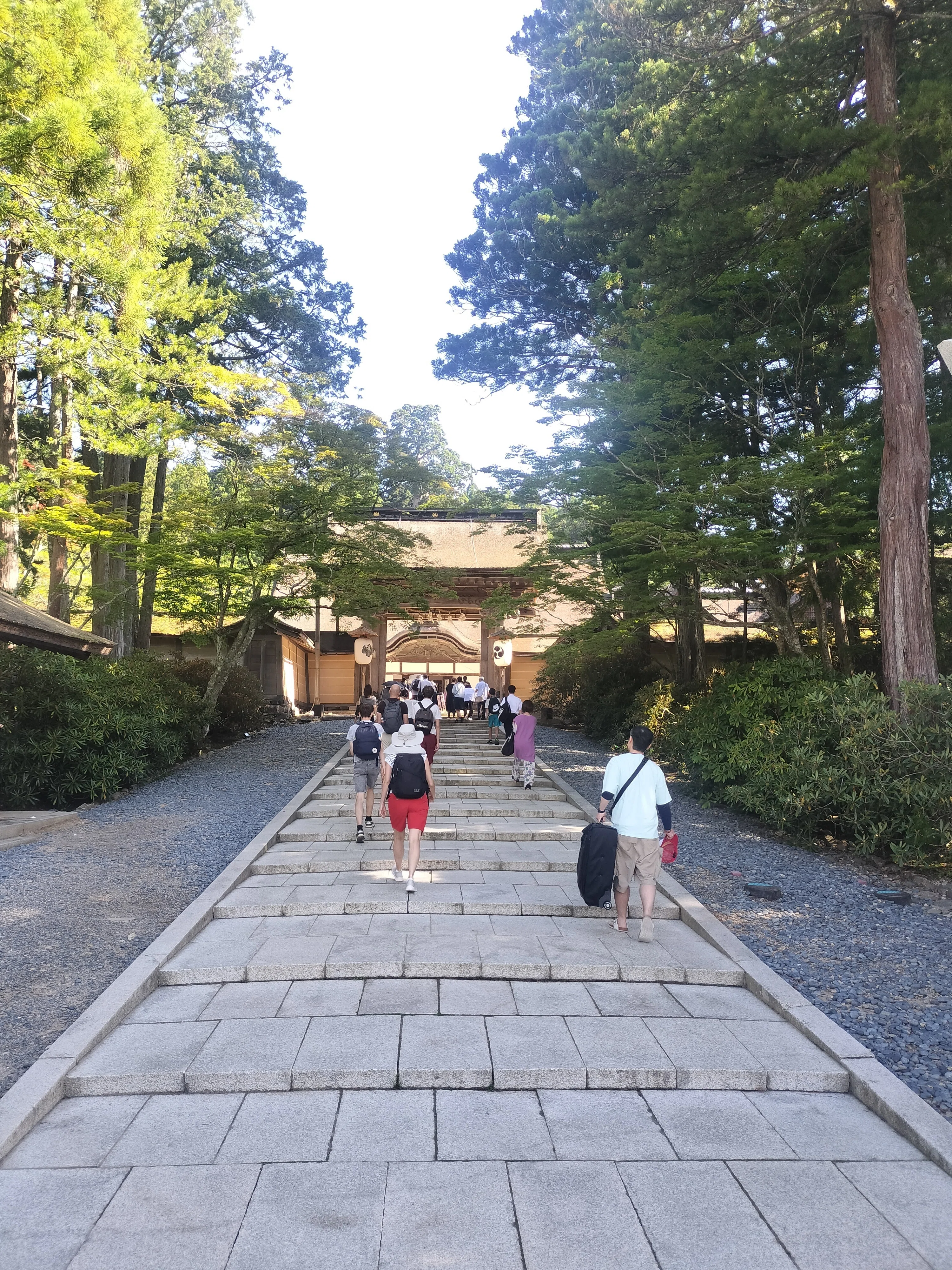 高野山金剛峯寺 展覧会記録⑩｜小森趙山（書家 チョウザン）