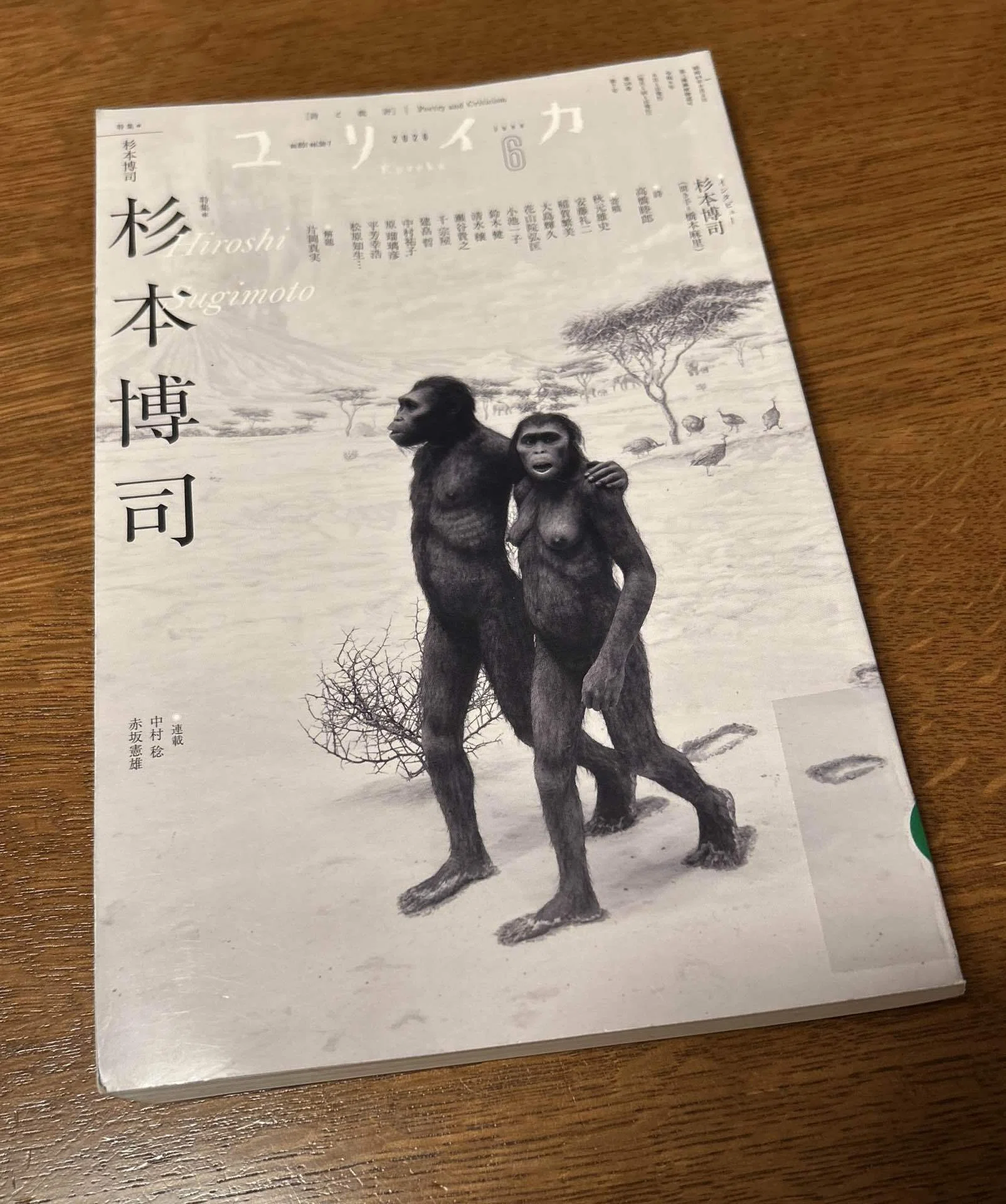 新品 ポスター 杉本博司 ハイエナ、ジャッカル、ハゲワシ 毎日美術☆「すべては紙のみぞ知る」IMPRINTED ―杉本博司 ポスター展