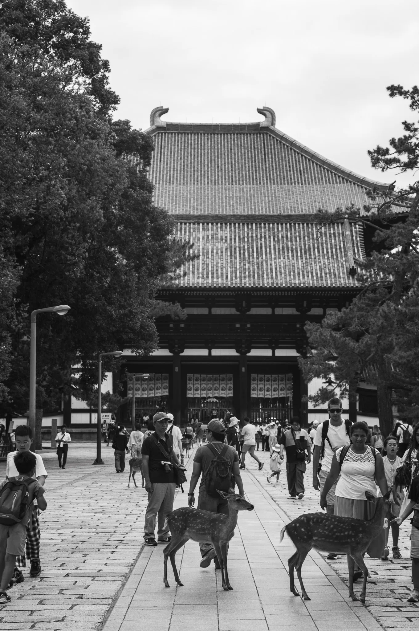 20年前の私を追って」｜会社員とカメラ