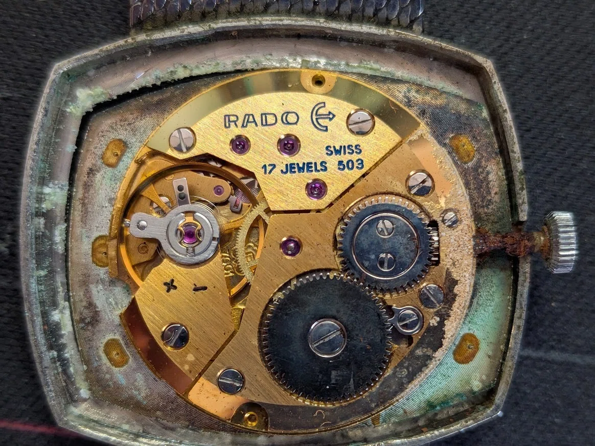 No.524 | Rado | 型番不明 | 従者に着けてもらう時計｜とある猫好き