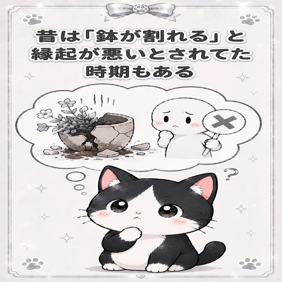 ちょろっとハチワレ猫解説🐱✨️｜鈴木一弘