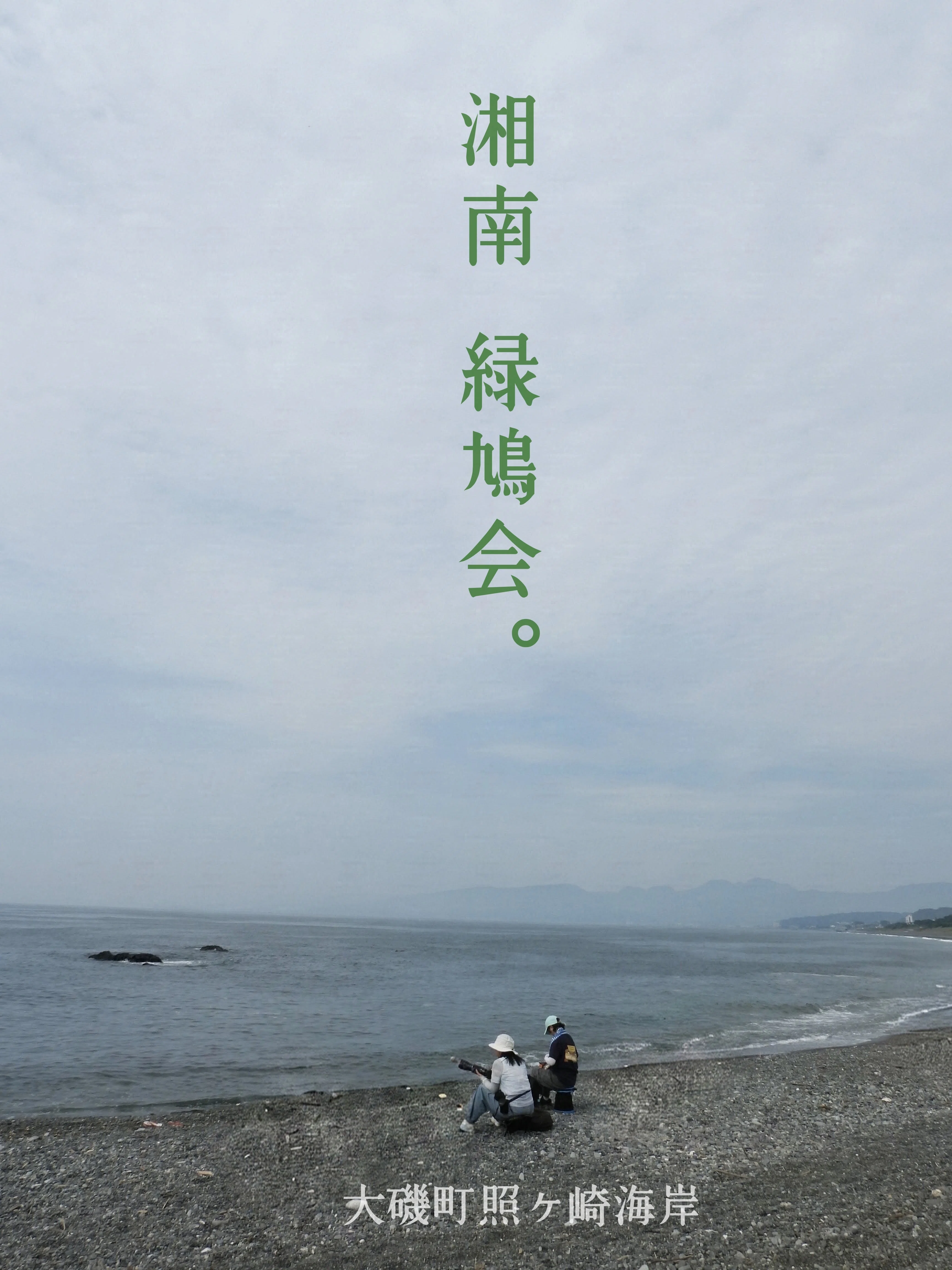 野鳥たちのいる風景 2026.07.31 fri. 神奈川県大磯町。｜michio