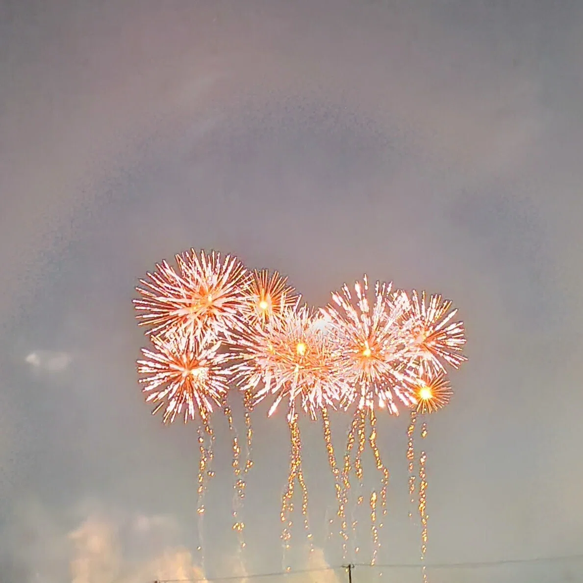 きらめく星座 花火 群馬火工製 きらめく星座花火群馬火工製 | ヤマダ