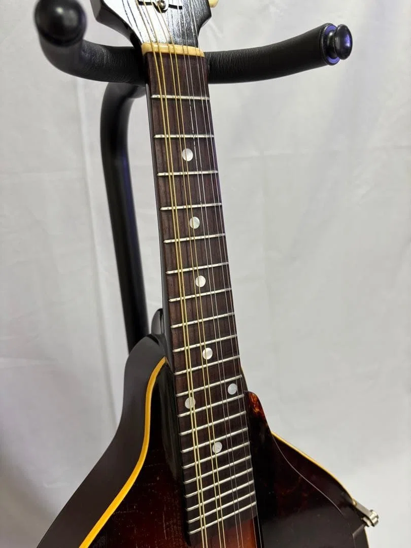 Gibson Mandolin A-40, 1951-1952｜テーラーフクナガ