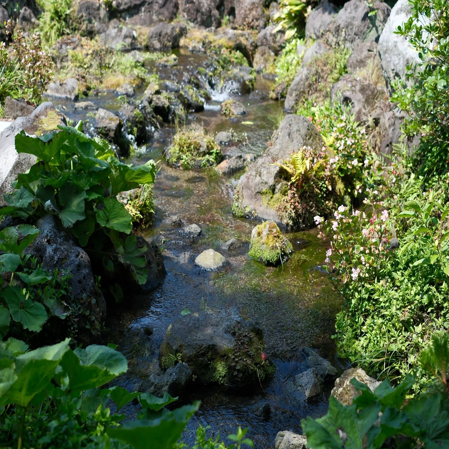 原田 湧 水池 公園