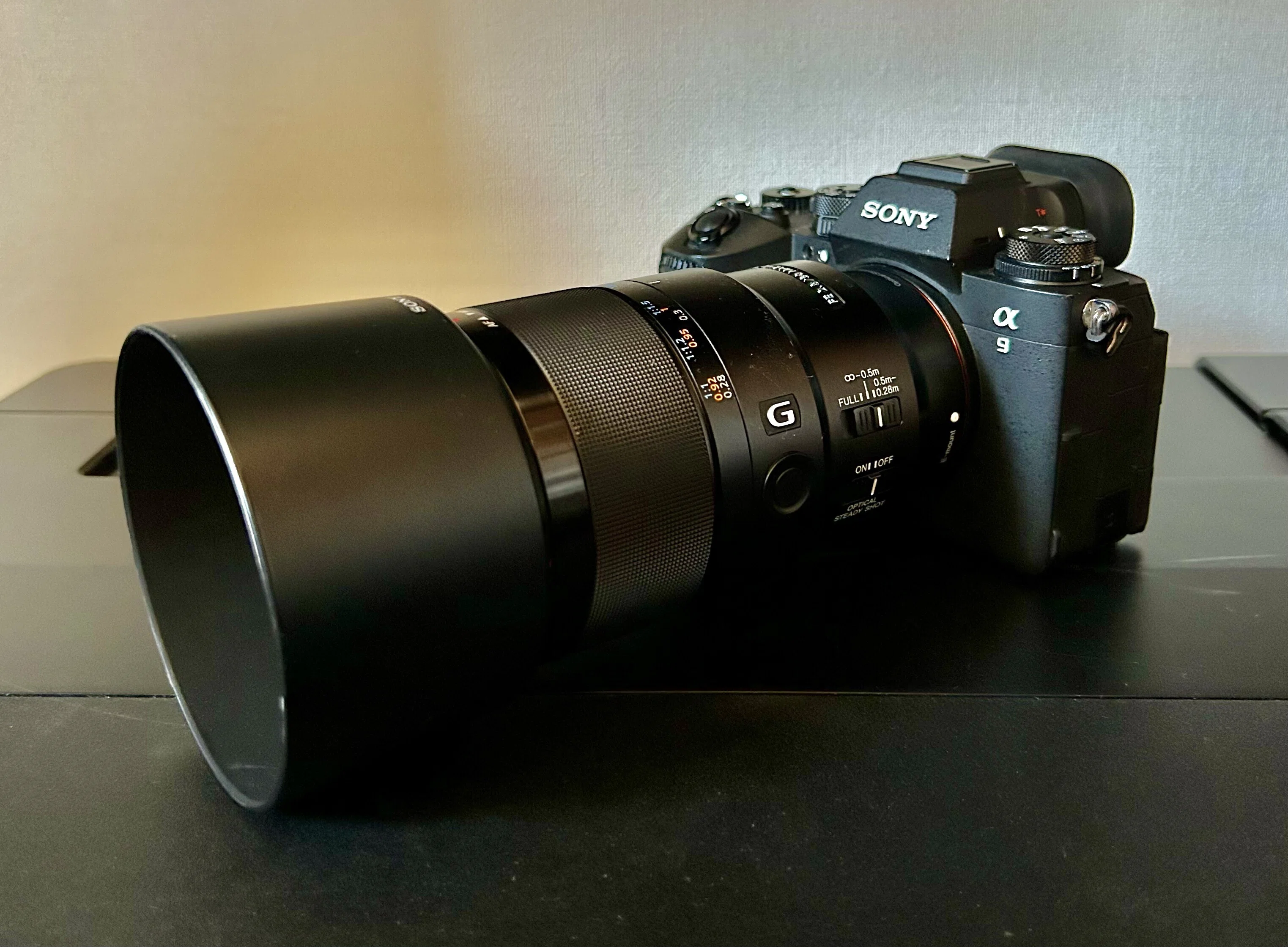 SONY FE 90mm F2.8 Macro G OSSで虫を撮る｜TOLIMAN Hondα
