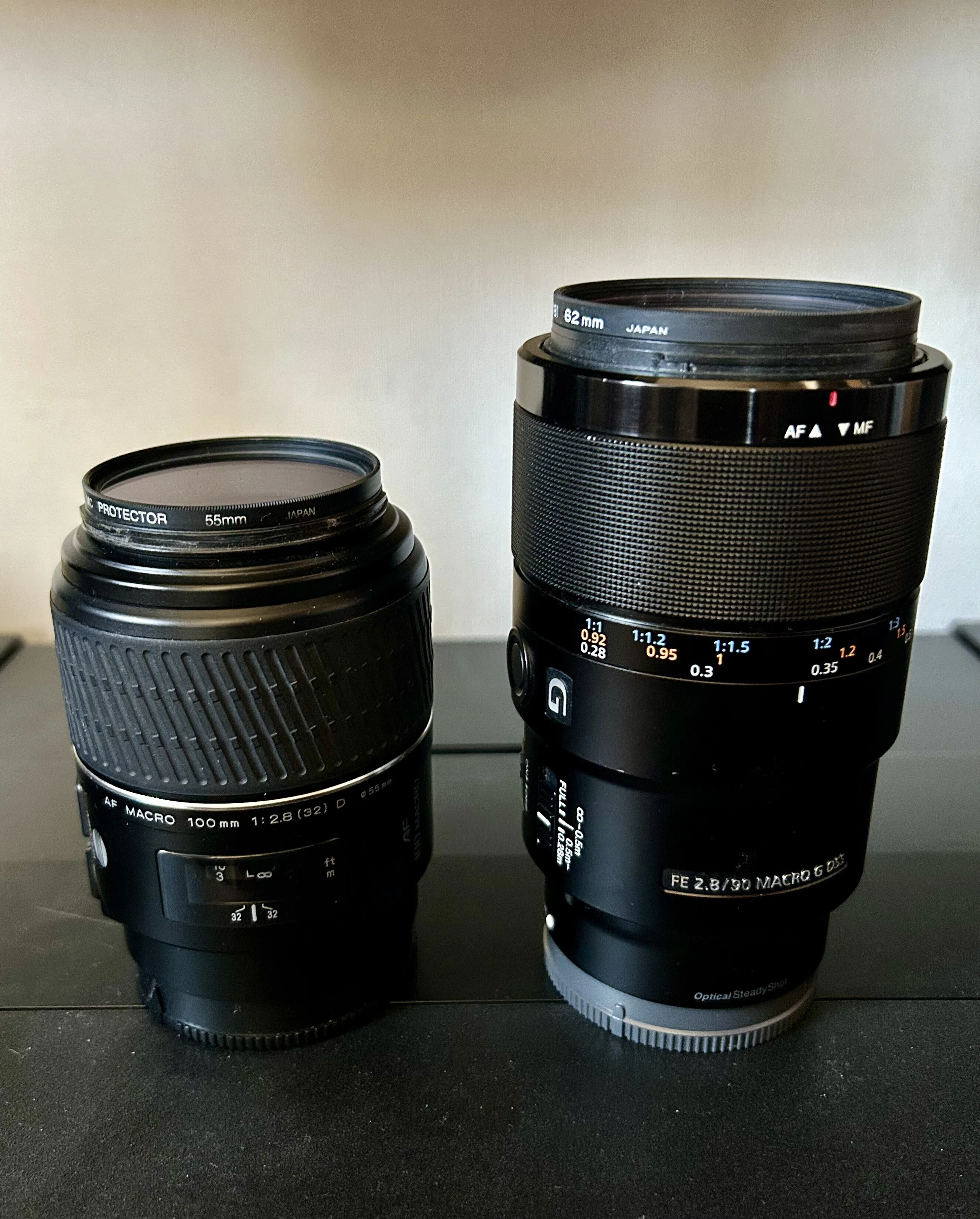 SONY FE 90mm F2.8 Macro G OSSで虫を撮る｜TOLIMAN Hondα