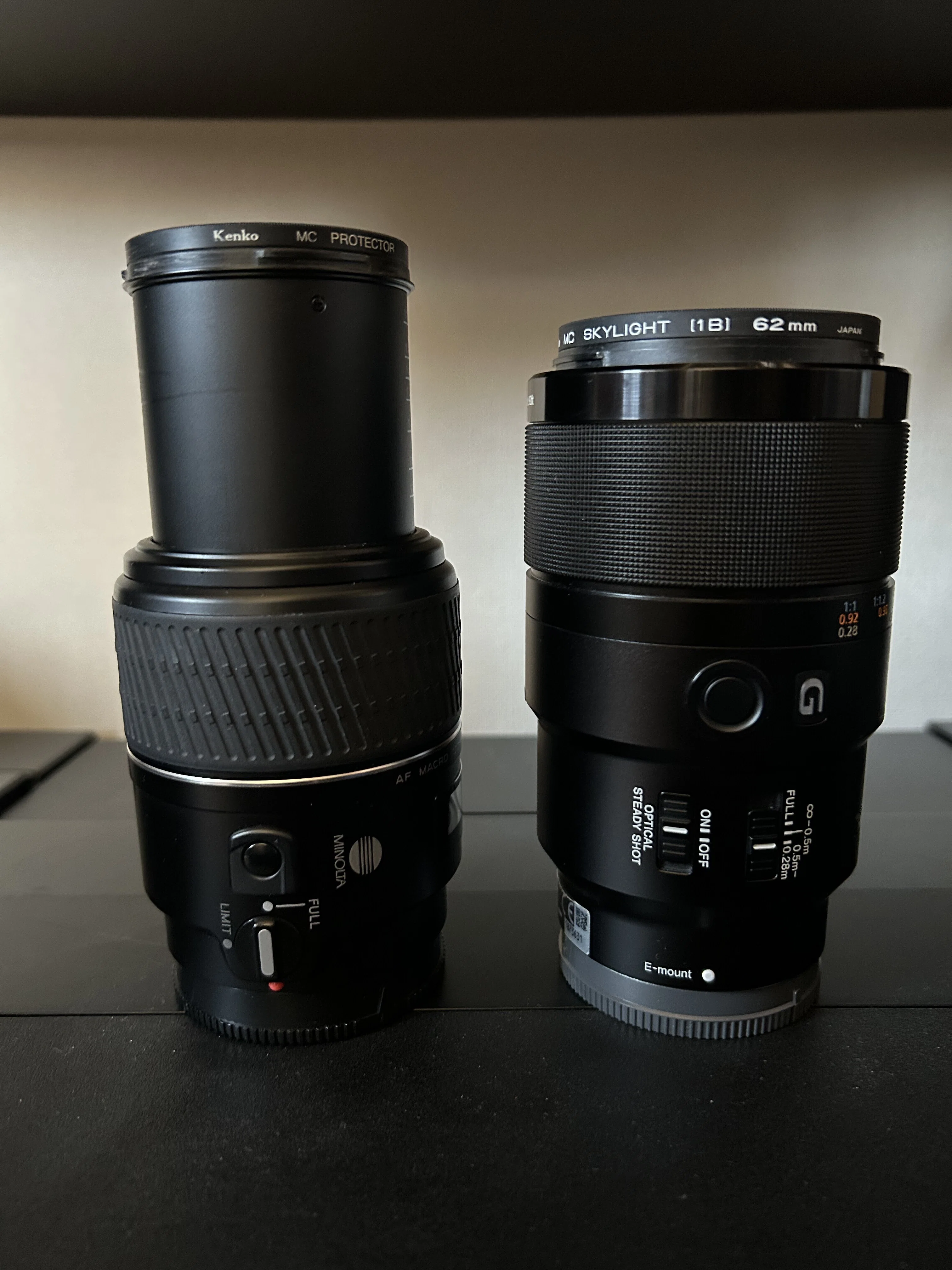 SONY FE 90mm F2.8 Macro G OSSで虫を撮る｜TOLIMAN Hondα