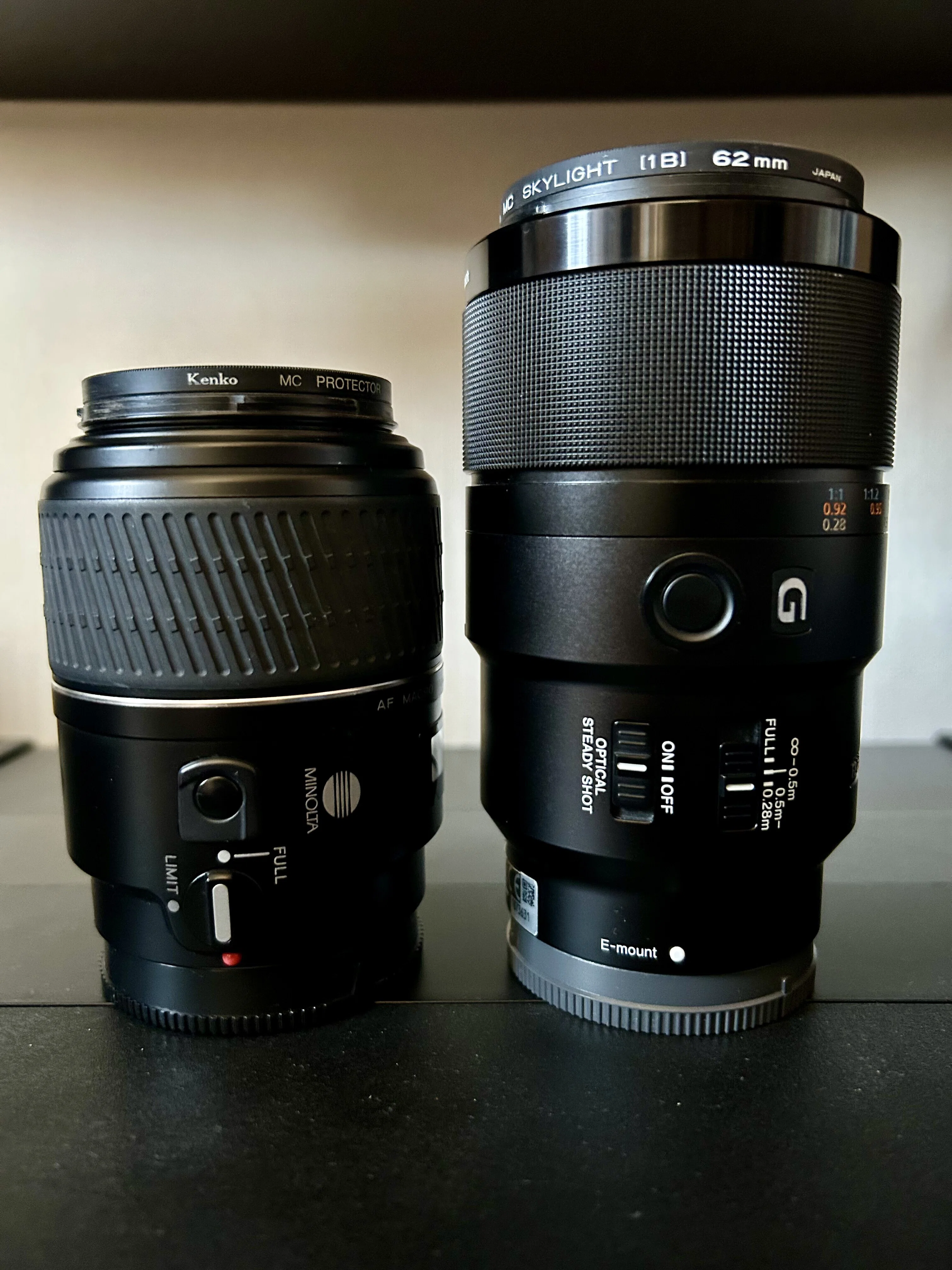 SONY FE 90mm F2.8 Macro G OSSで虫を撮る｜TOLIMAN Hondα