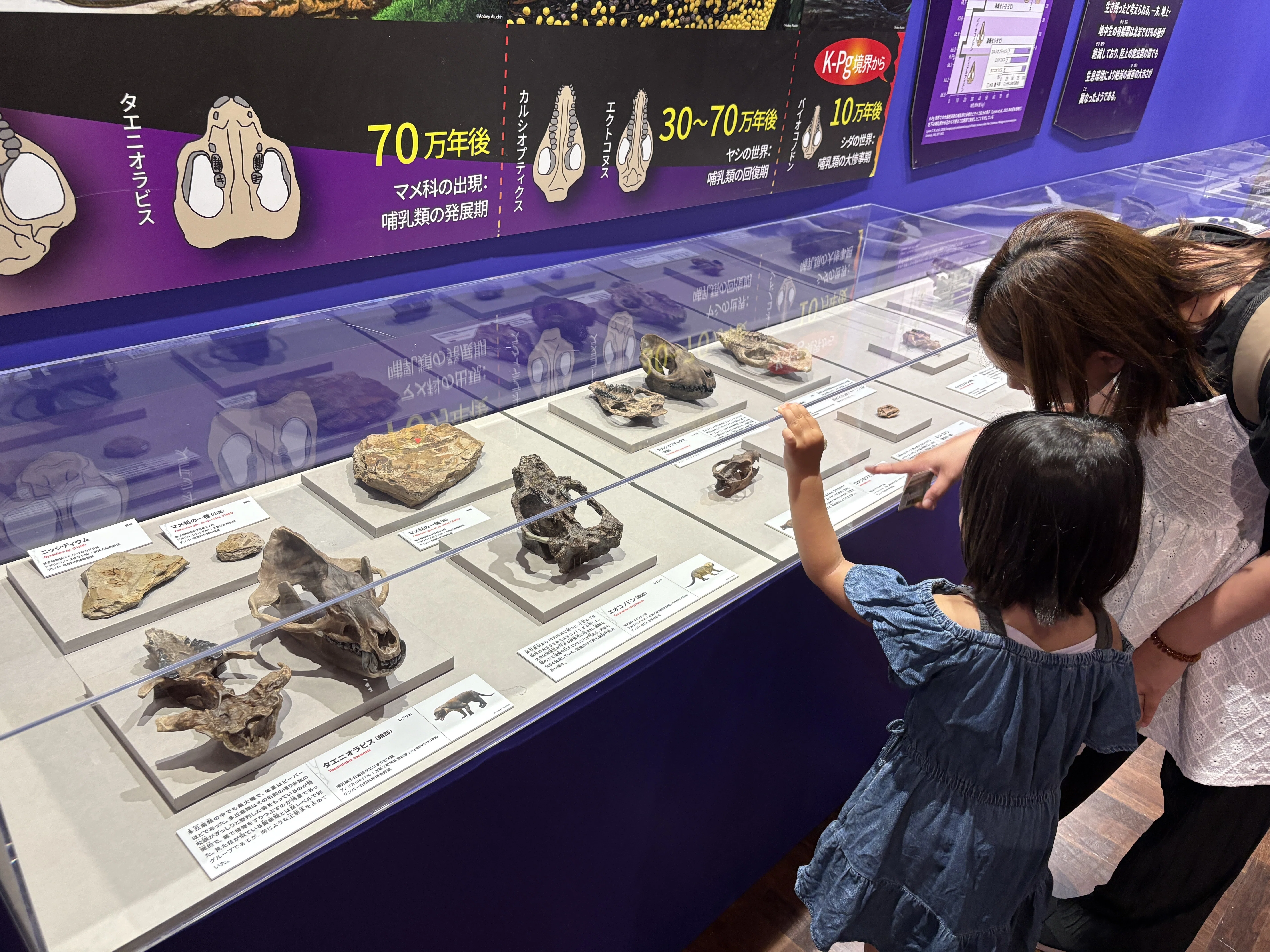 巨大化石に圧倒！『大絶滅展』で知る、生命40億年のサバイバル史｜株式