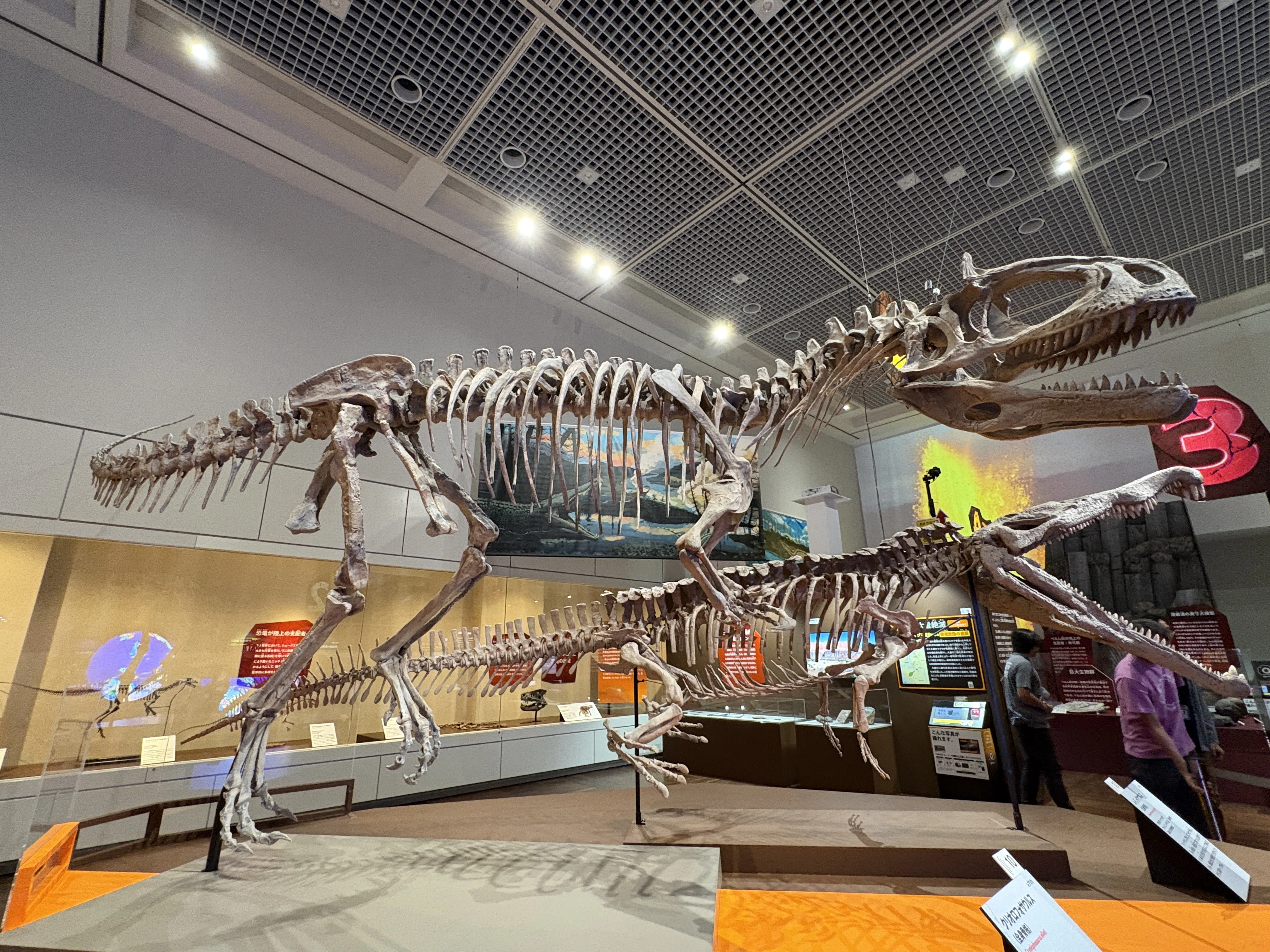 巨大化石に圧倒！『大絶滅展』で知る、生命40億年のサバイバル史｜株式