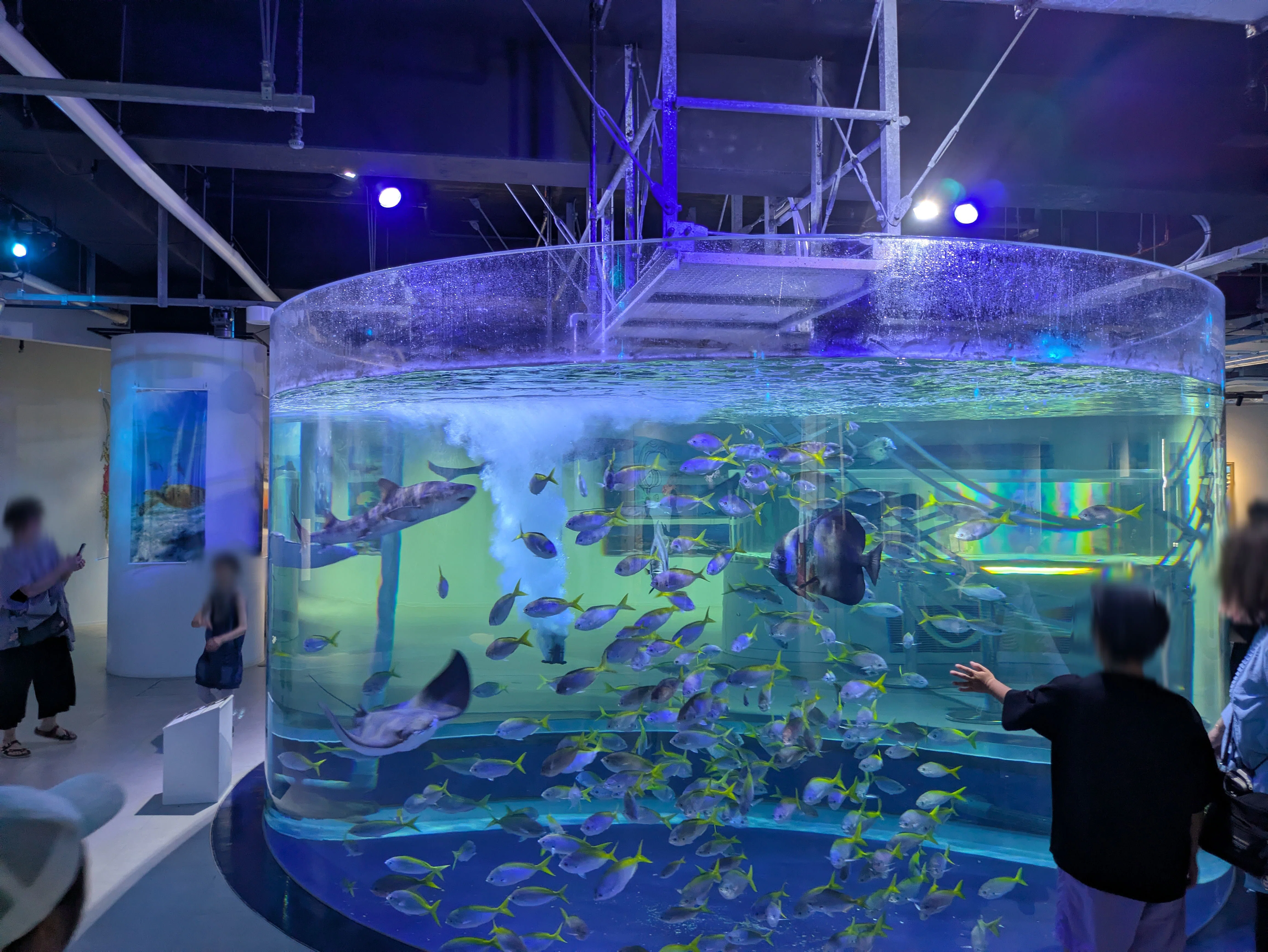 記念メダル】AQUARIUM×ART átoaであつめる｜ATUPON