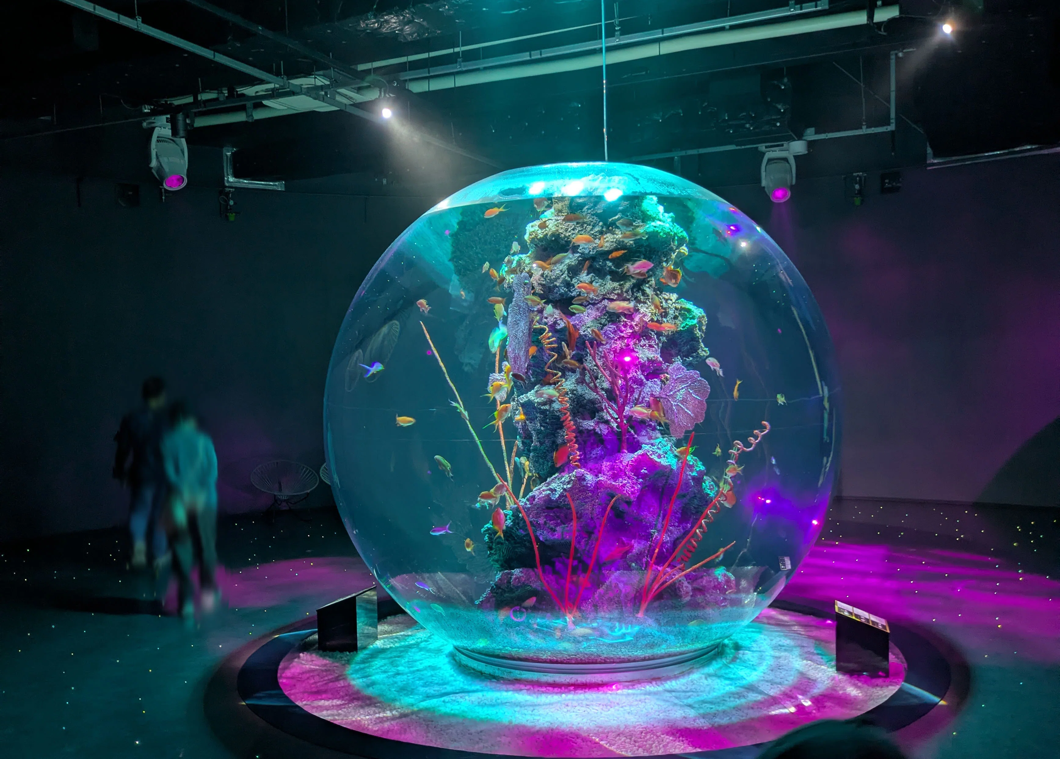 記念メダル】AQUARIUM×ART átoaであつめる｜ATUPON