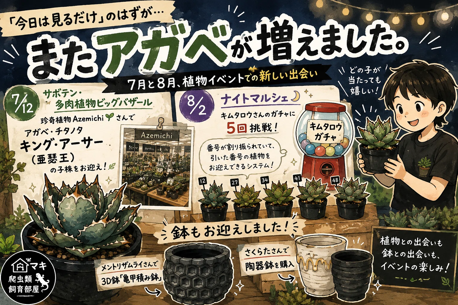 またアガベが増えました。｜マキ爬虫類飼育部屋