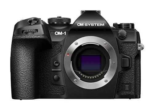 OM System ミラーレス一眼のおすすめ9選・口コミ評判 防塵防滴と軽さで