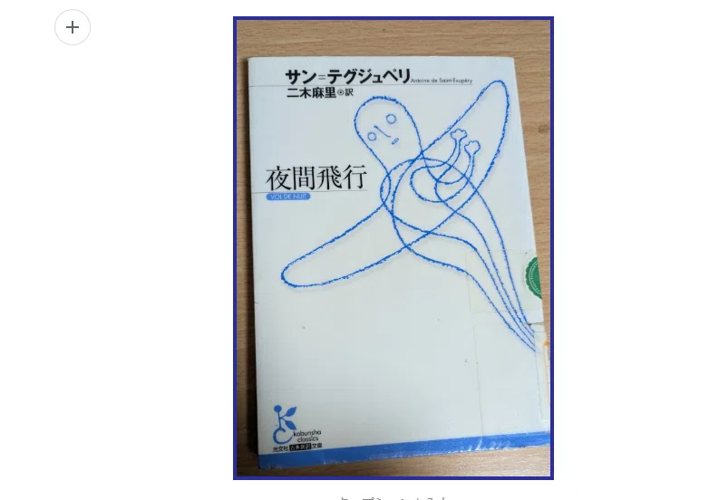 大学生の感想】『夜間飛行』サン＝テグジュペリ著 二木麻里訳｜きゃら