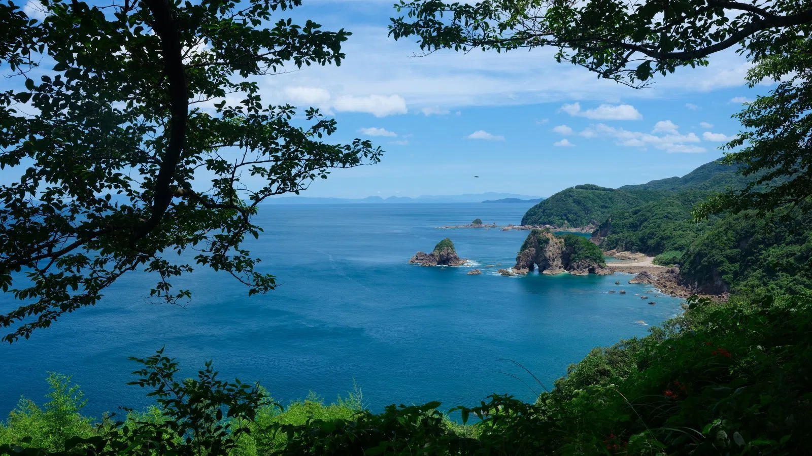 風景 真夏の九州にて｜shinya photo