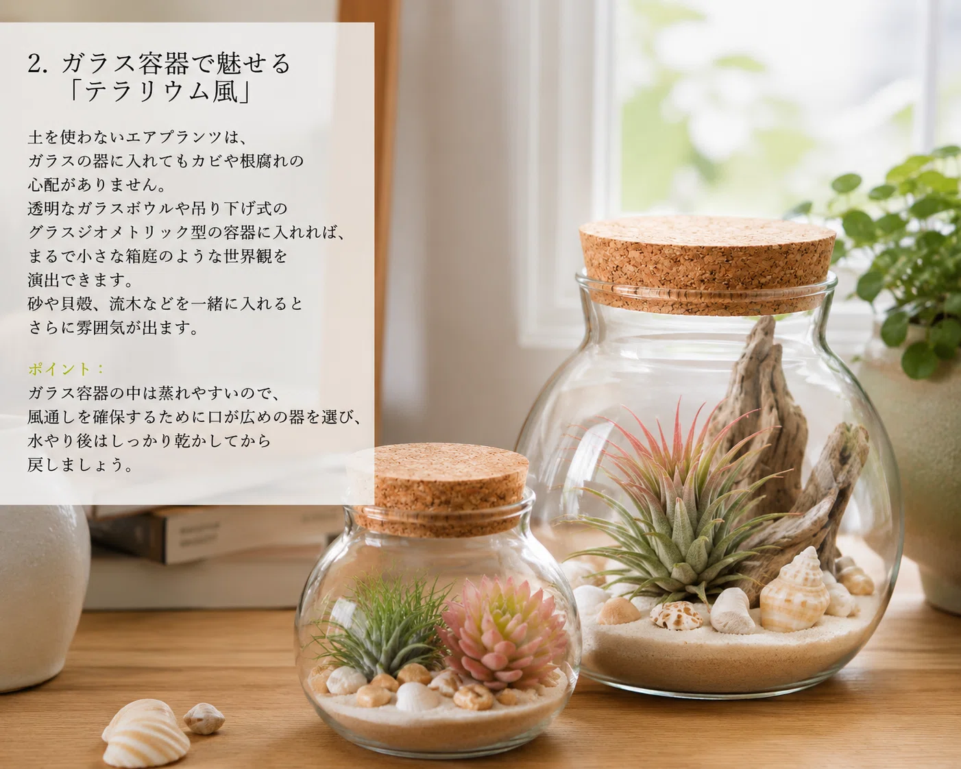 土に植えない植物 エアプランツ その1「おしゃれな配置方法」｜潤@自宅