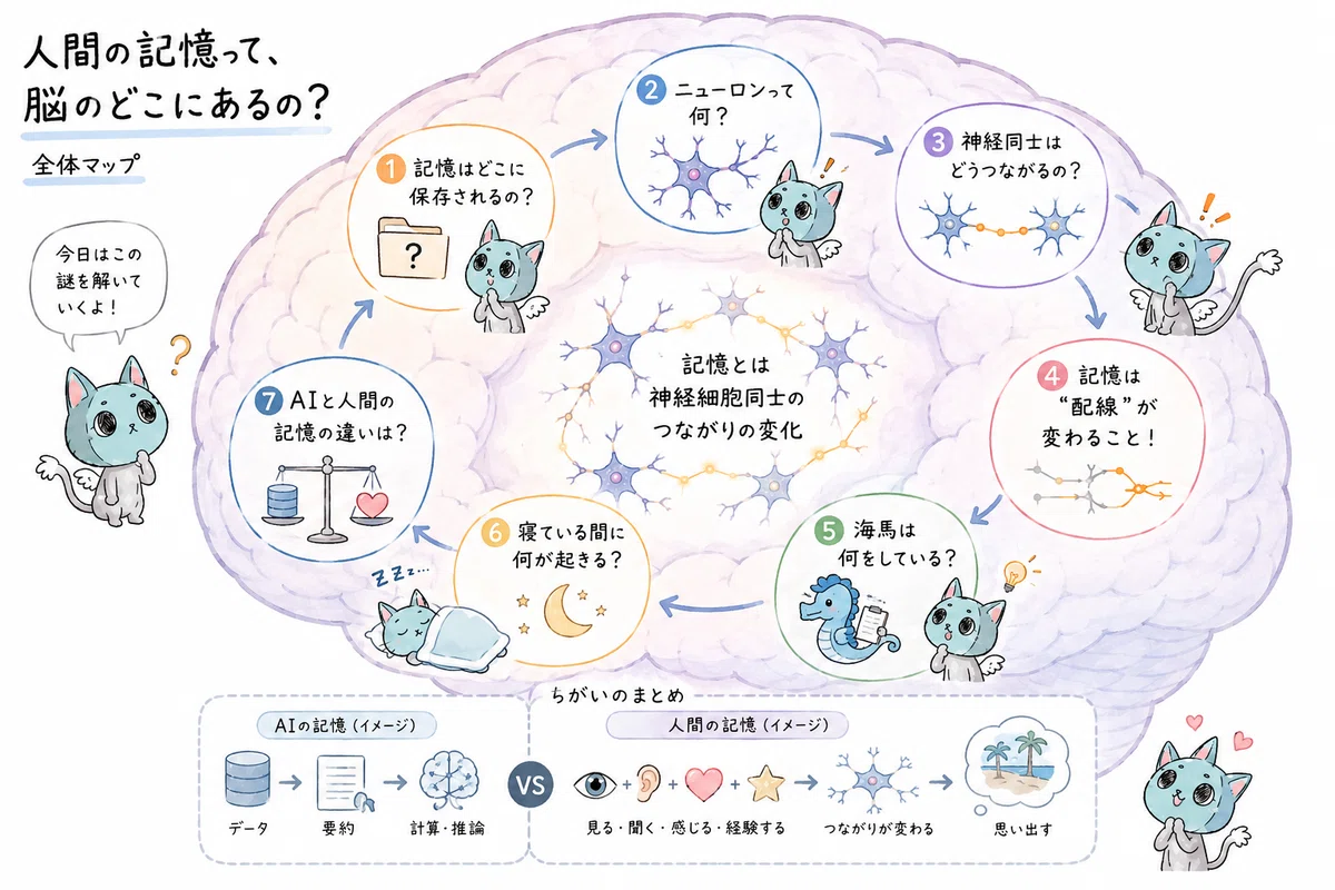 🐈‍⬛🔍 An easy-to-understand explanation of how human memory works | What ...