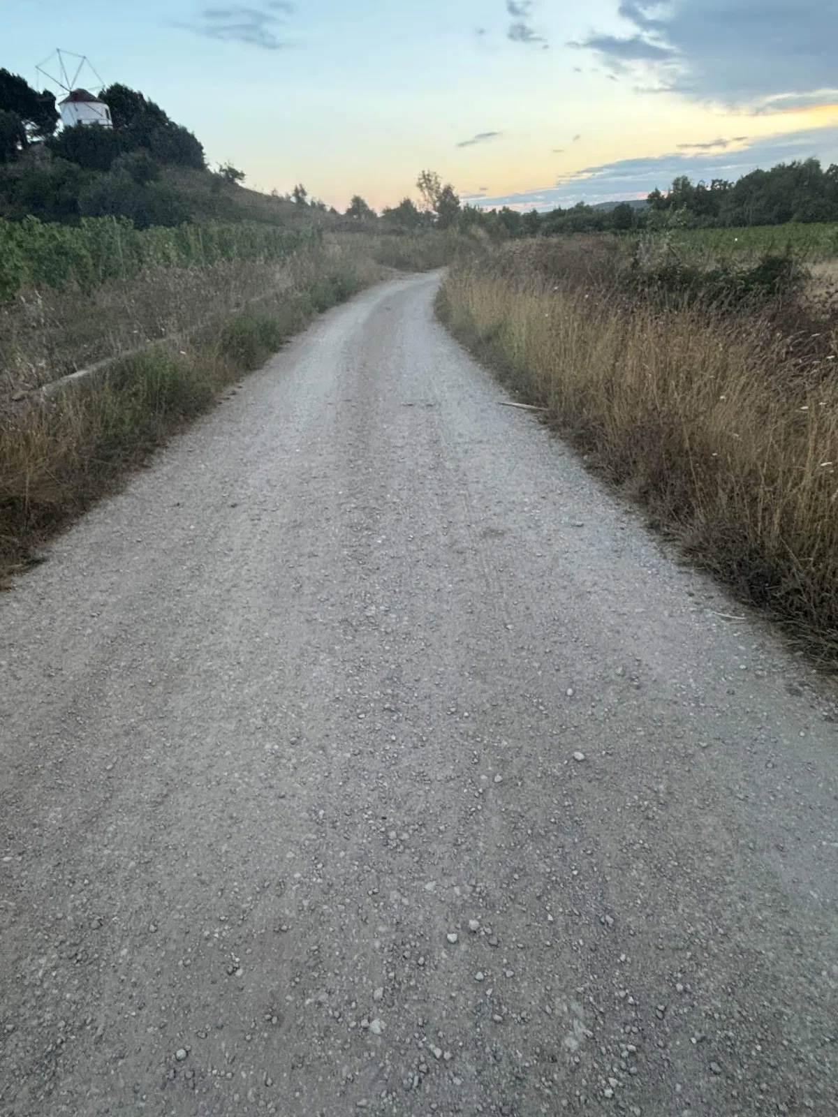 Portuguese Way Pilgrimage Day 9｜ArcangeLog