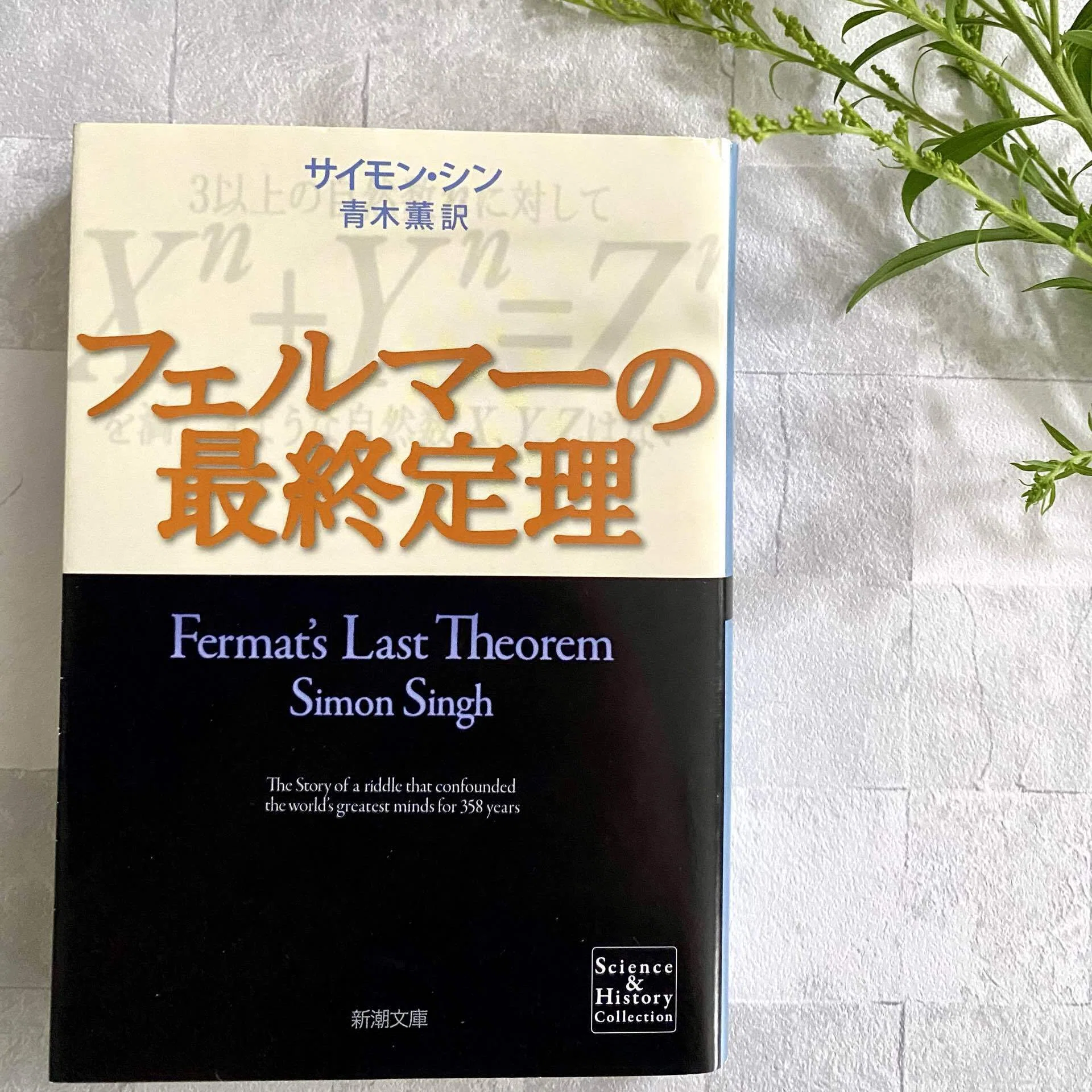 【初版帯付】フェルマーの最終定理 たった1行の謎に、人類の頭脳が挑んだ300年！『フェルマーの最終定理