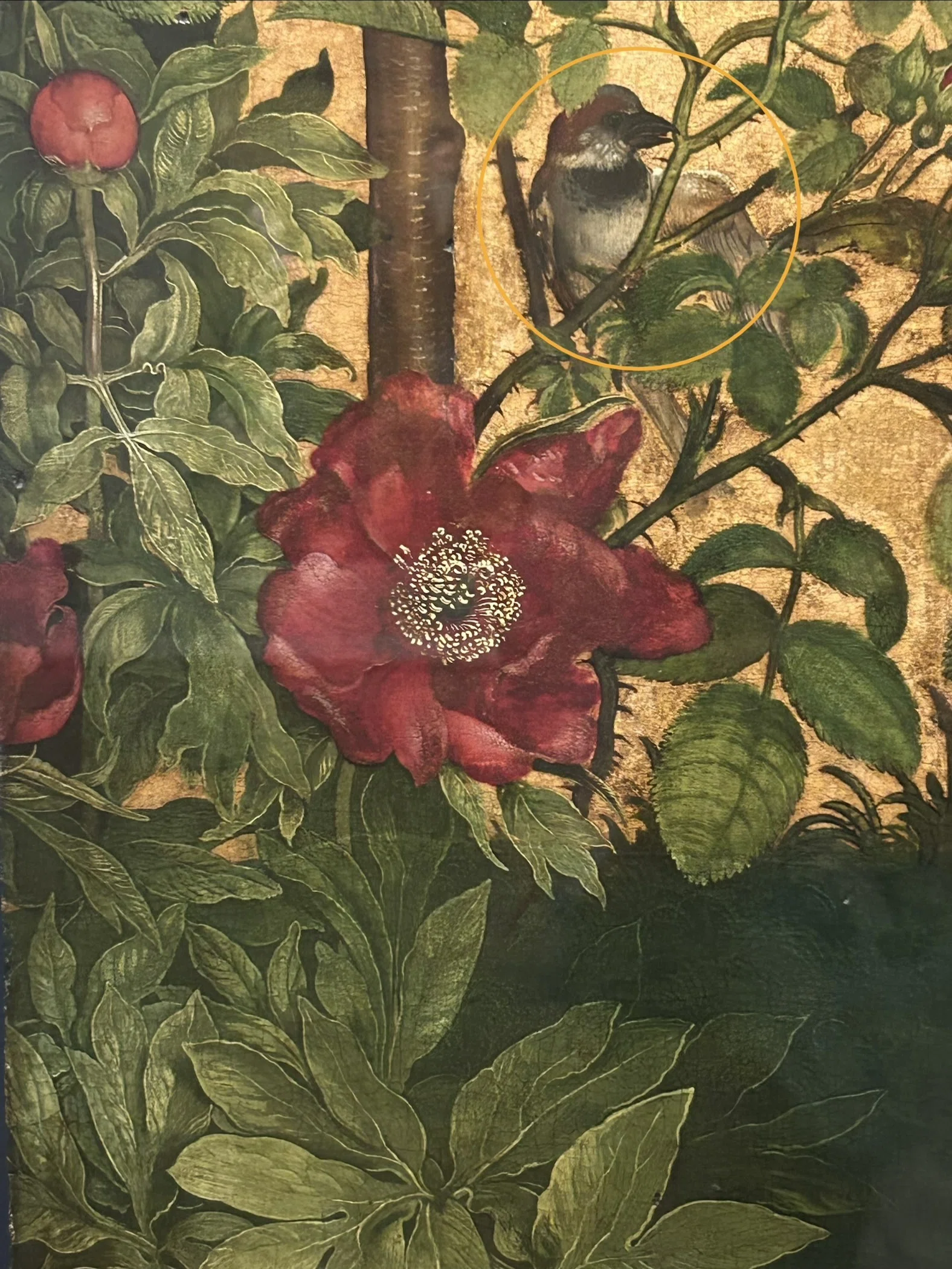 あんこ✧サルグミンヌ ❁⃘絵画のように美しい 薔薇のラヴィエꕤ︎︎˚⁎ 子供のためのルーブル美術館(248)赤い薔薇の前で/ションガウアーと雪舟