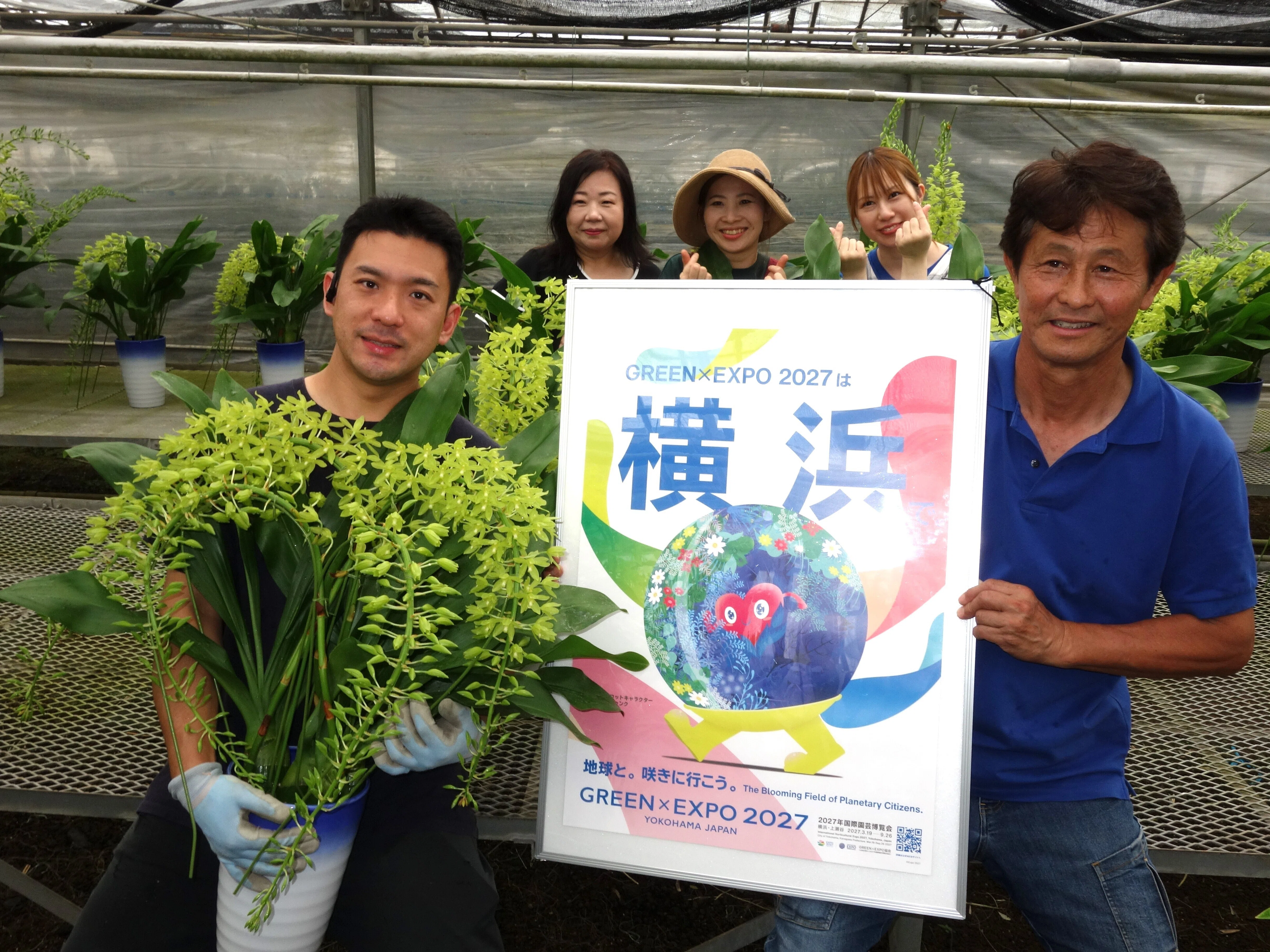 花き農家取材】夏に映える緑の巨花「グラマトフィラム」への挑戦｜農林