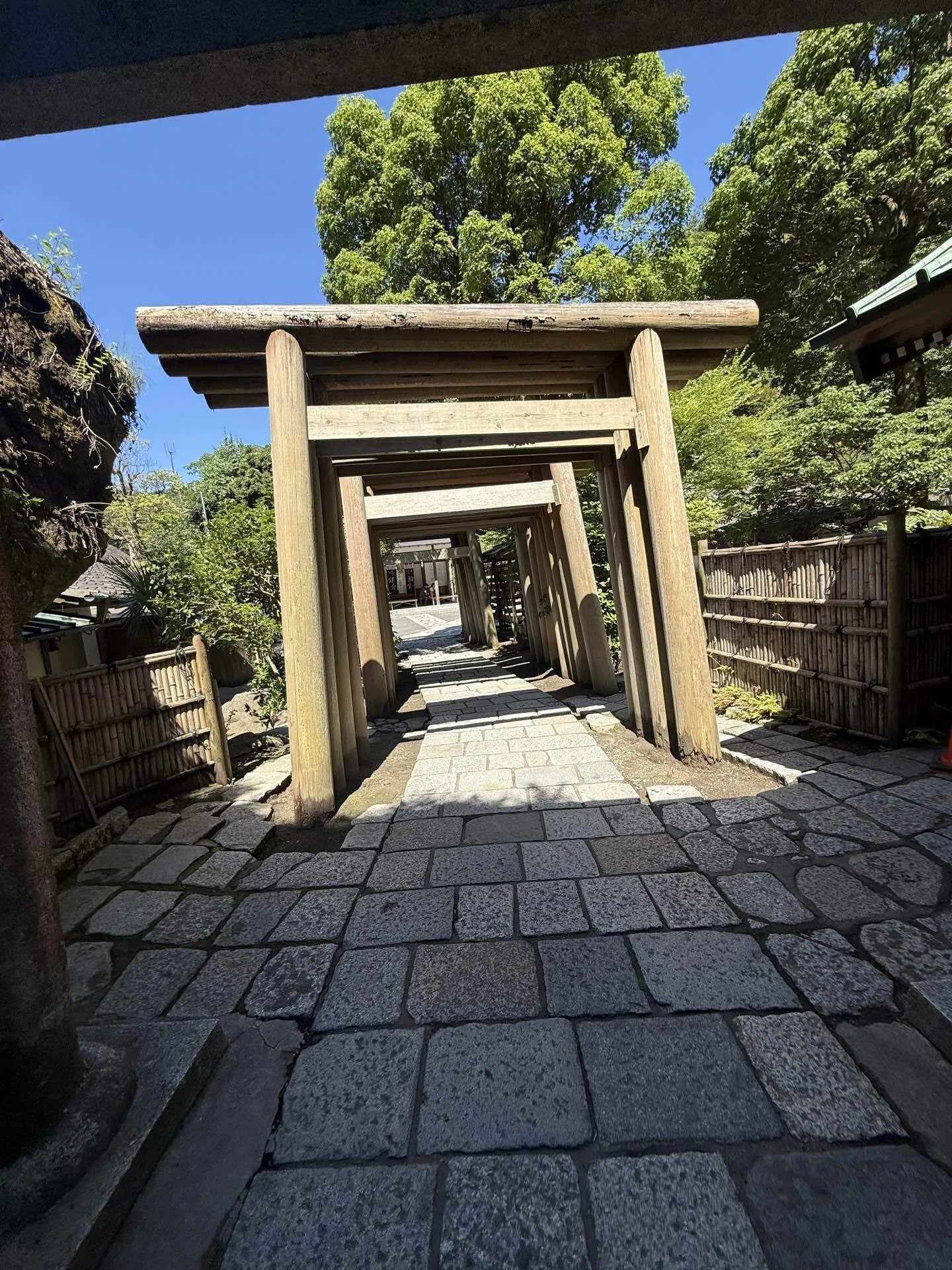 ②鶴岡八幡宮・銭洗弁財天｜Ange