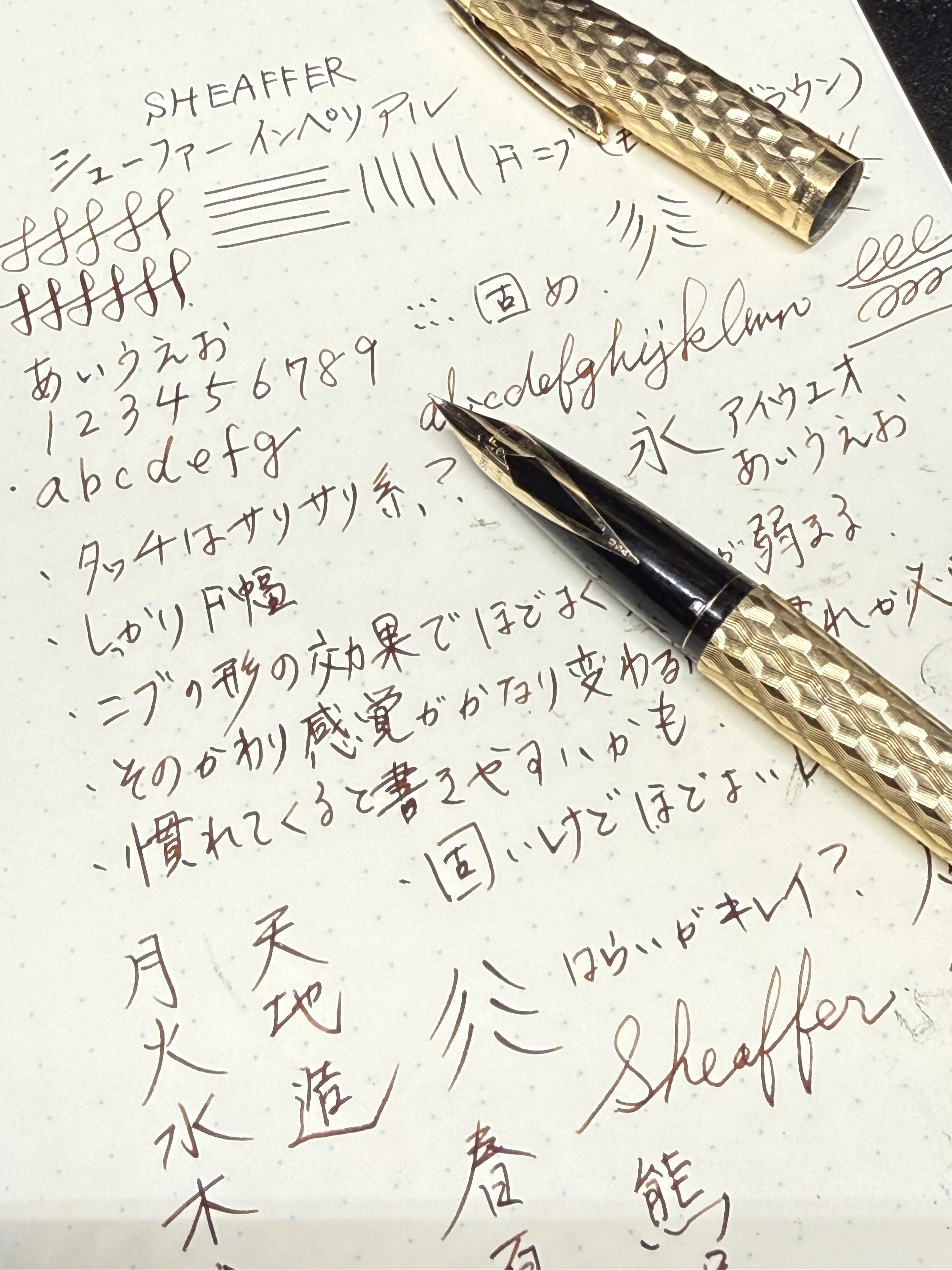 至極の書き味の可能性を持つ魅惑のインレイニブ「シェーファー