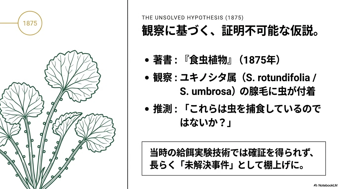 ダーウィンが150年前に見抜いていた「肉食植物」、中国の高山でついに