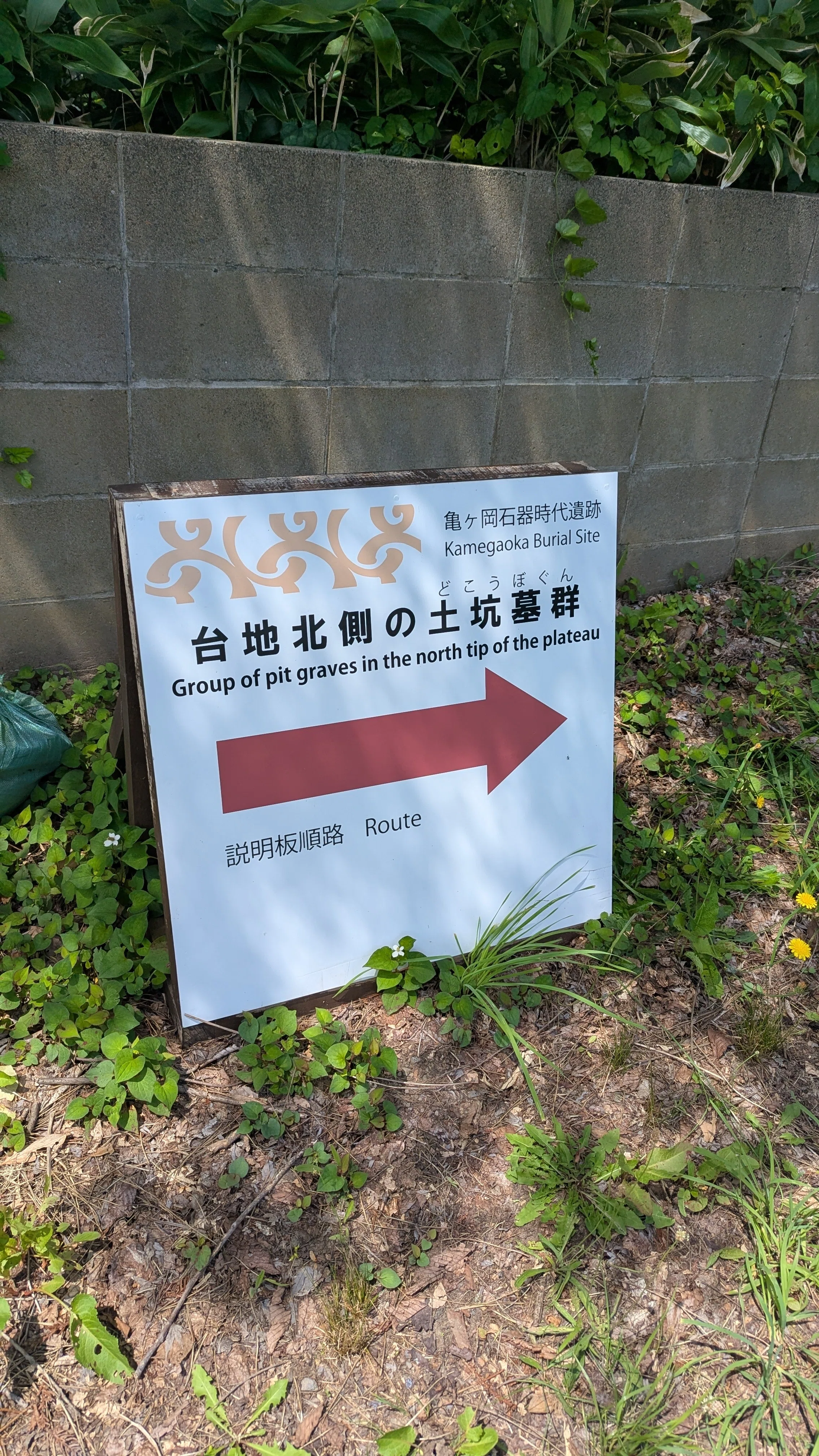 亀ヶ岡石器時代遺跡（青森県つがる市）｜うどんパンマン