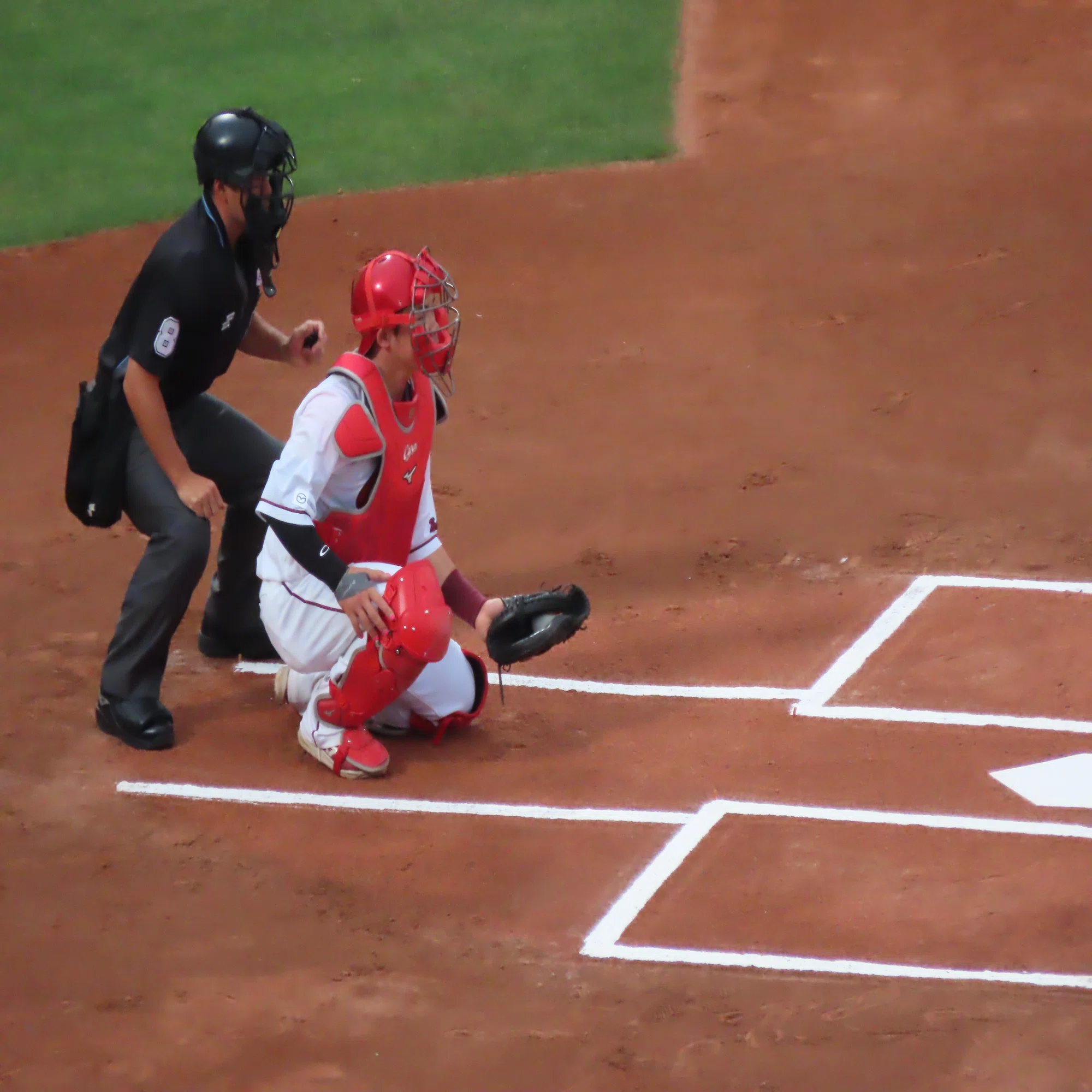 npb 審判 クレーム