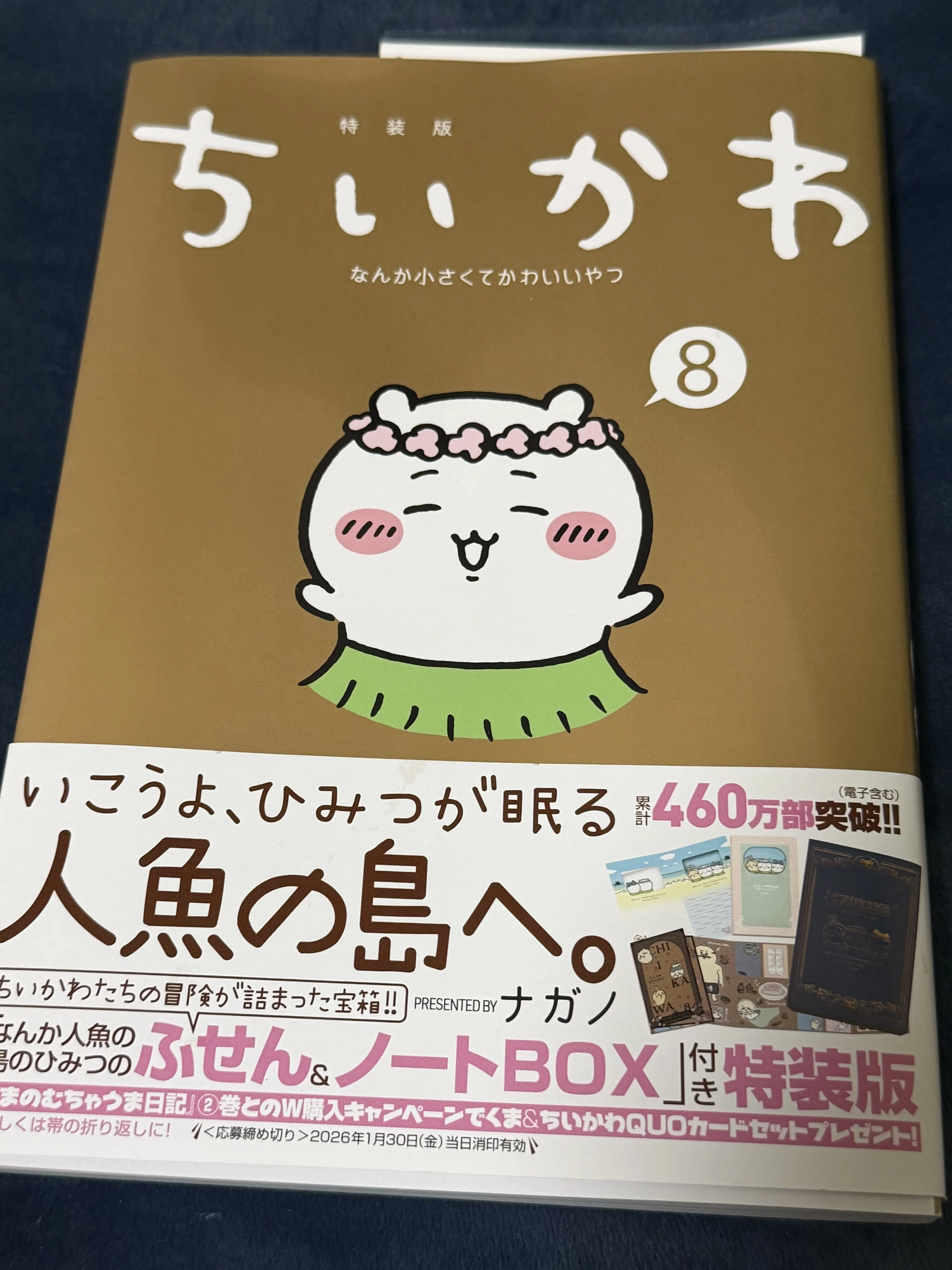 ちいかわ8巻｜村木藤志郎