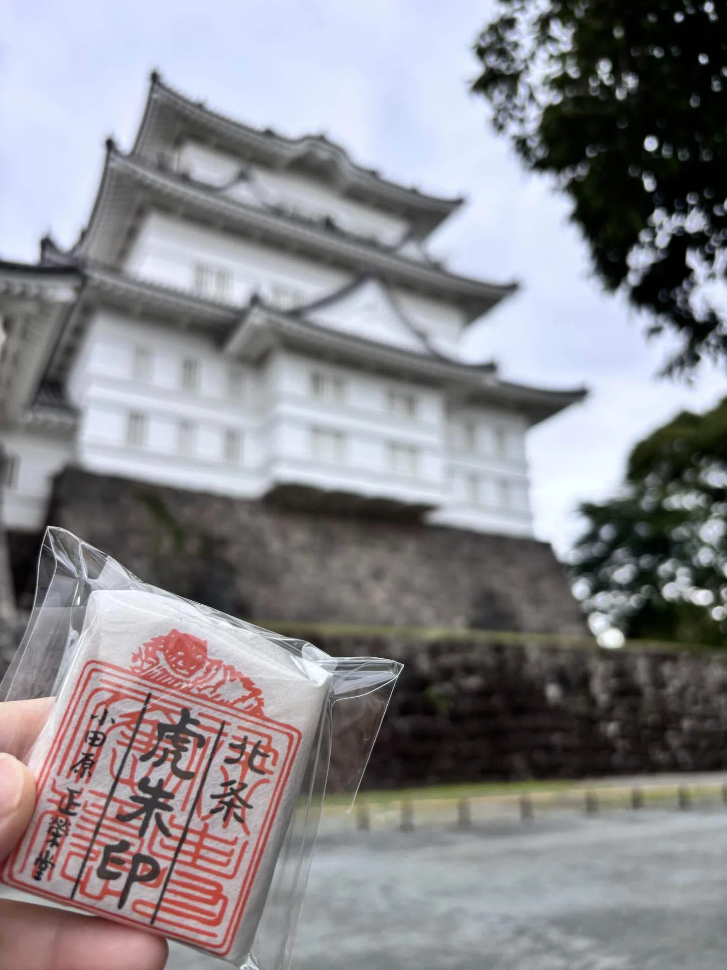 小田原】小田原城で城呑み。虎朱印最中と北条氏が守りたかったもの｜城