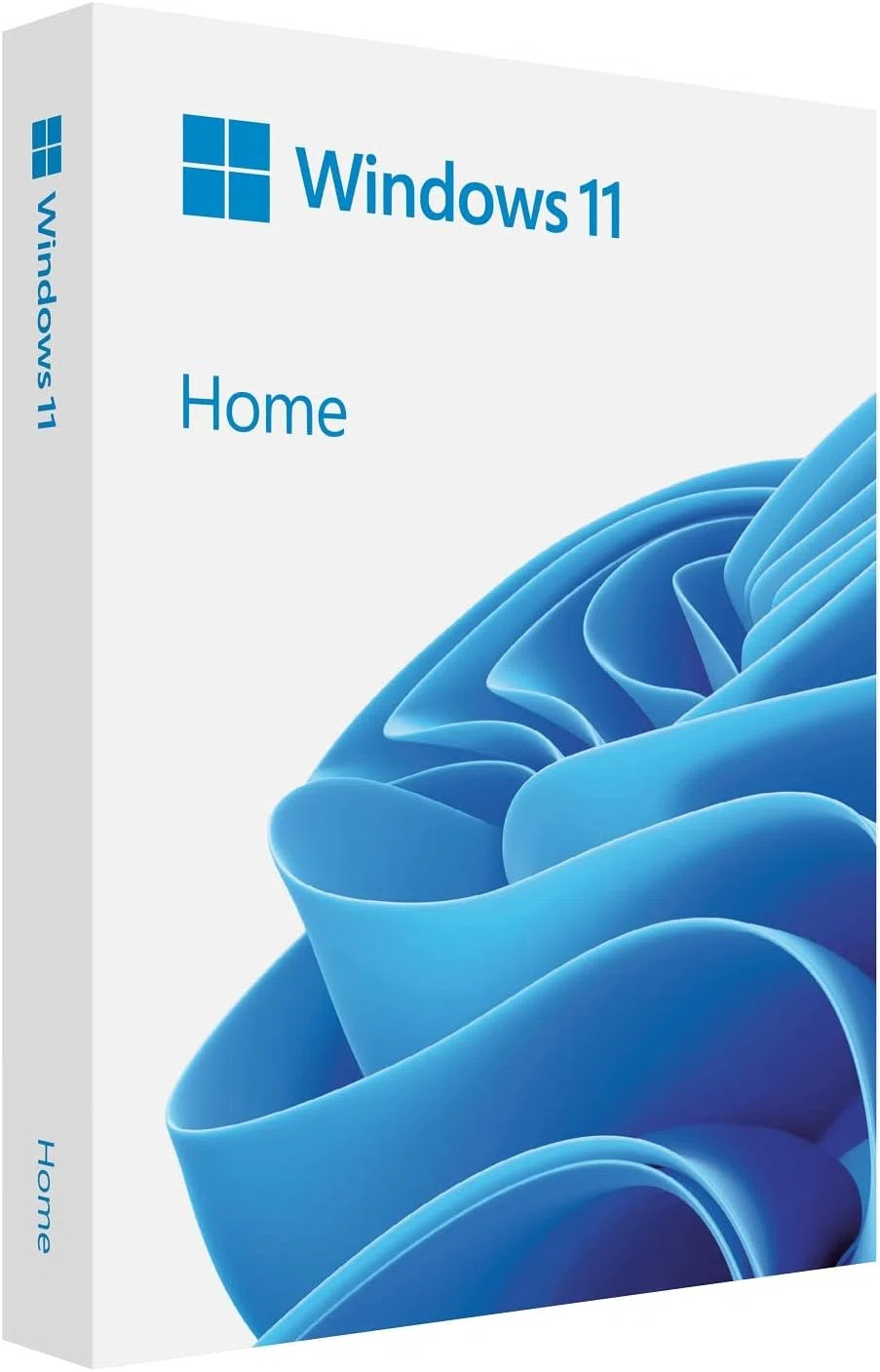 Windows 11