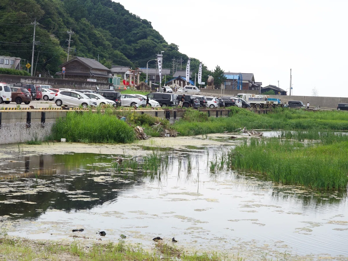画像