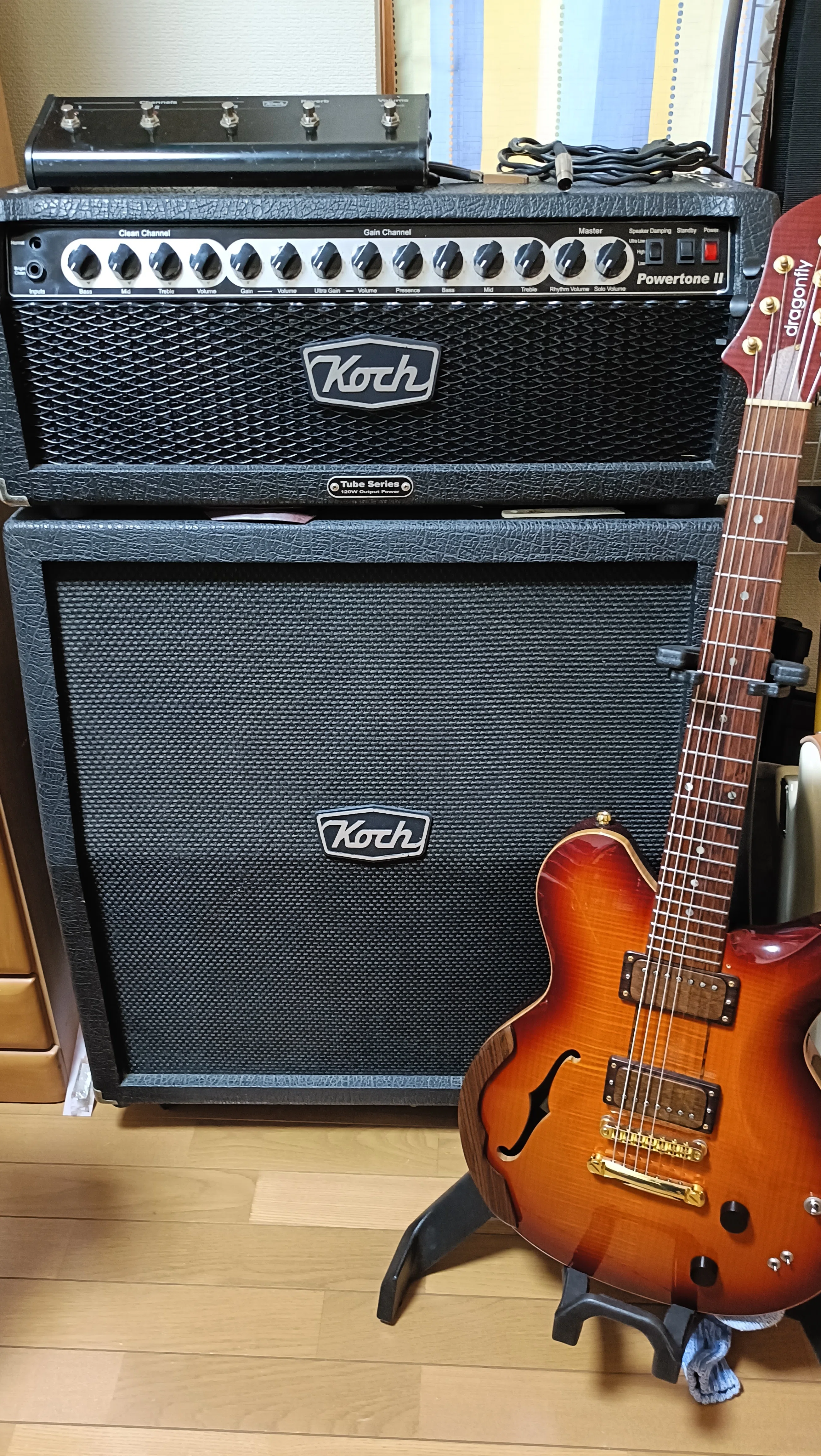 Ibanez RGD71ALMSを買ったら、まさかの初期不良。でも対応には納得した