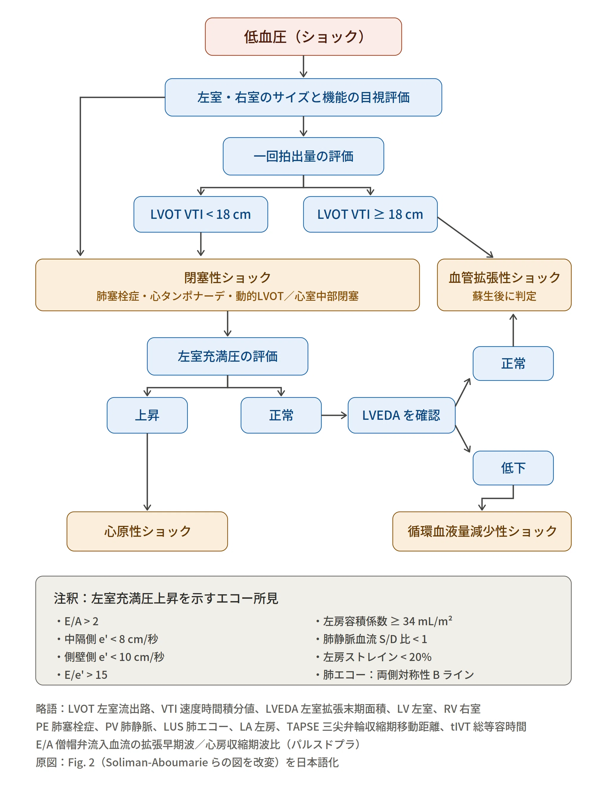 ショックの鑑別が変わる！心肺POCUSによるアドバンスド血行動態