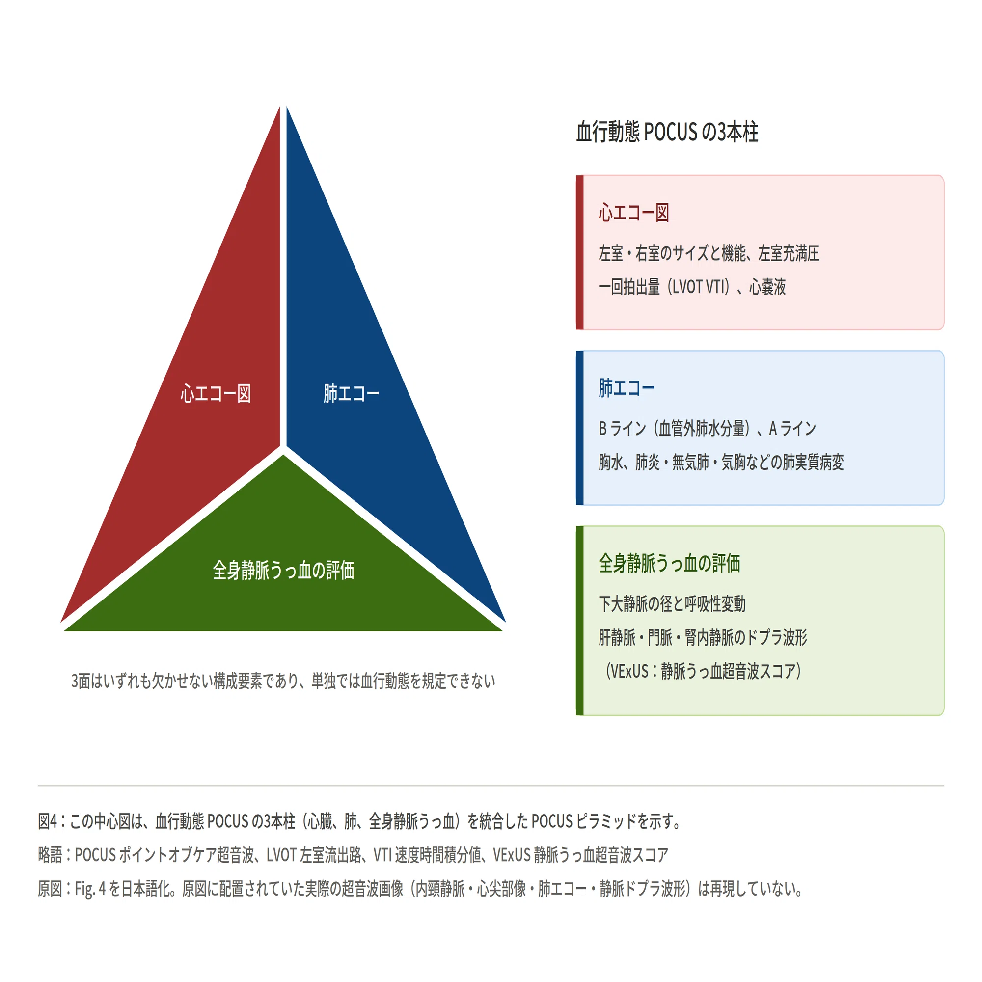 ショックの鑑別が変わる！心肺POCUSによるアドバンスド血行動態