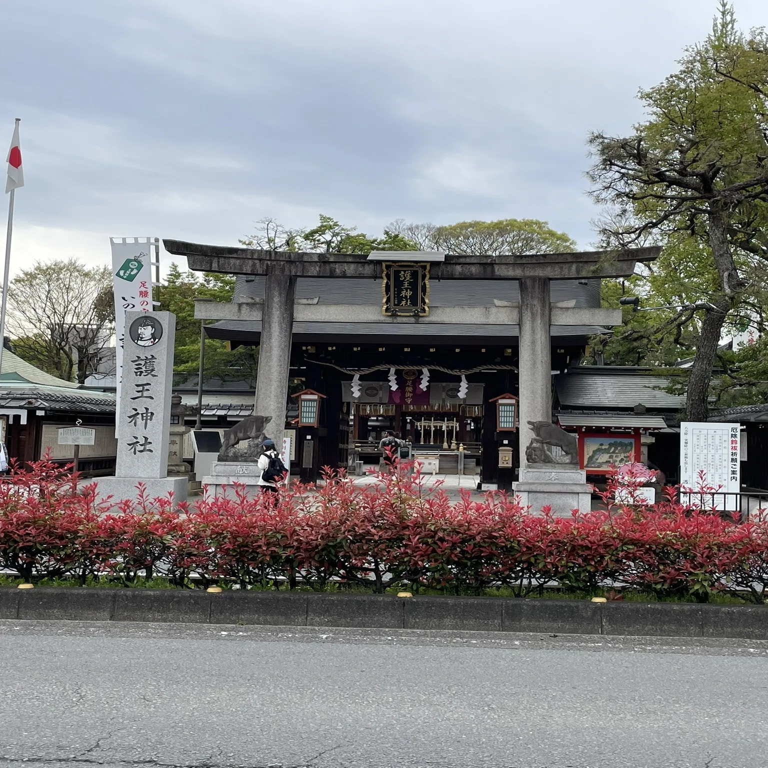 活動歴および当時の関連ビジュアル記録
