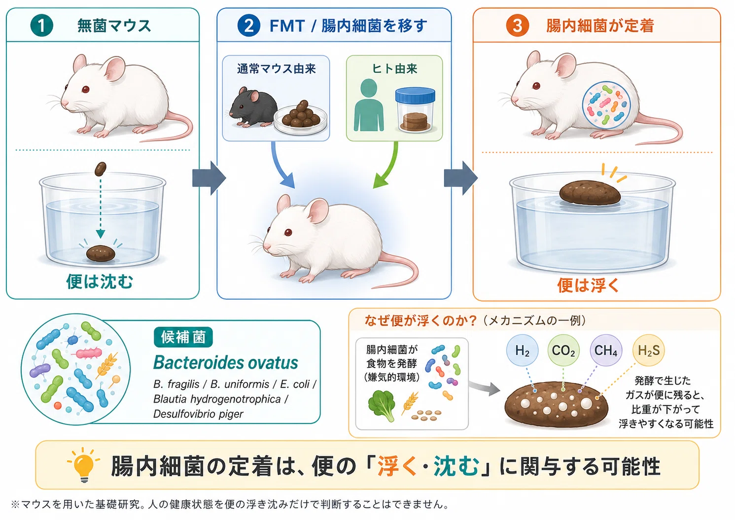 便 沈む なぜ