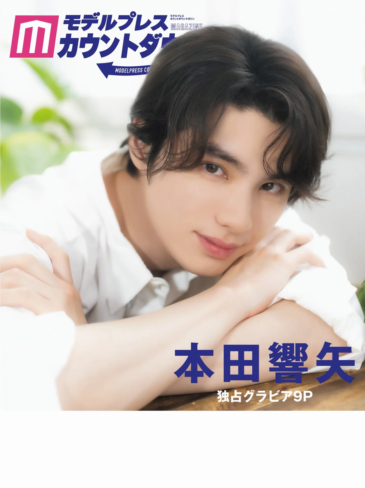 本田響矢 ブロマイド 16枚コンプリート 生写真 本田響矢 ブロマイド 16